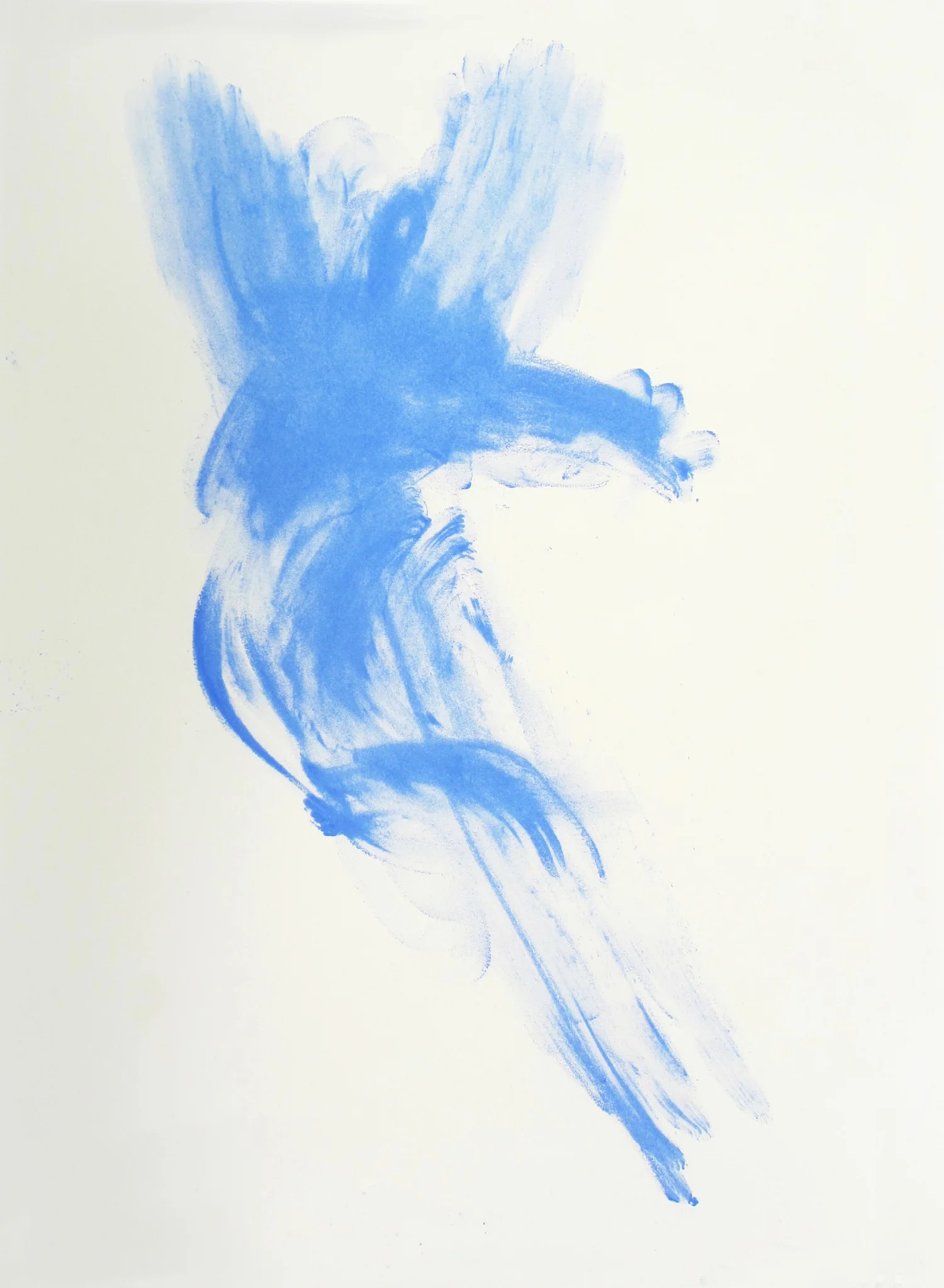 Blue-Bird-Alex-Cecchetti-2012-low-res.jpg