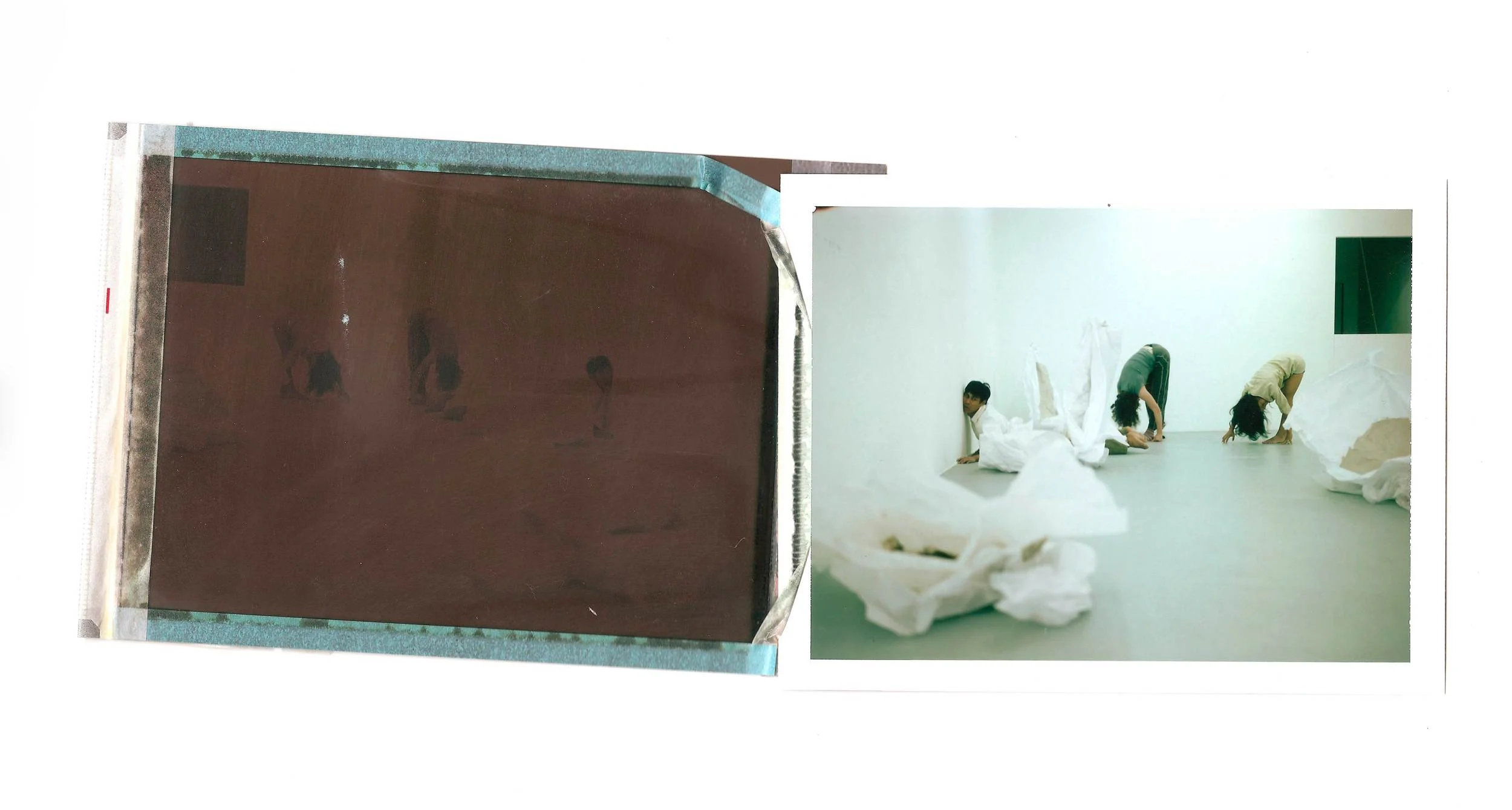 IT-SPEAKS-HERE-AND-NOW-BECAUSE-IT-HAS-BEEN-THERE-AND-THEN--Polaroid-10x24-cm---Alex-Cecchetti-2010-a.jpg