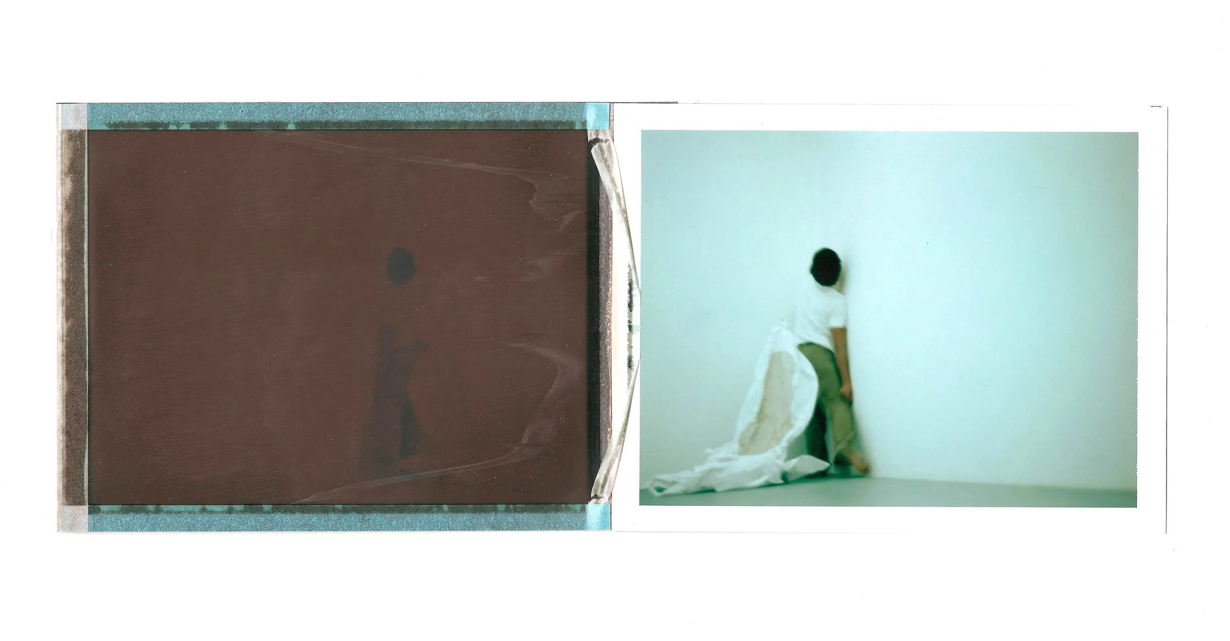 IT-SPEAKS-HERE-AND-NOW-BECAUSE-IT-HAS-BEEN-THERE-AND-THEN--Polaroid-10x24-cm---Alex-Cecchetti-2010-b.jpg