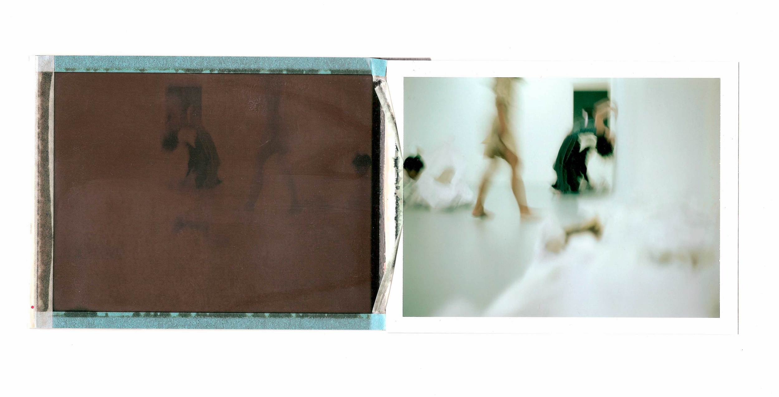 IT-SPEAKS-HERE-AND-NOW-BECAUSE-IT-HAS-BEEN-THERE-AND-THEN---Film---Polaroid-10x24-cm---Alex-Cecchetti-2010-d.jpg
