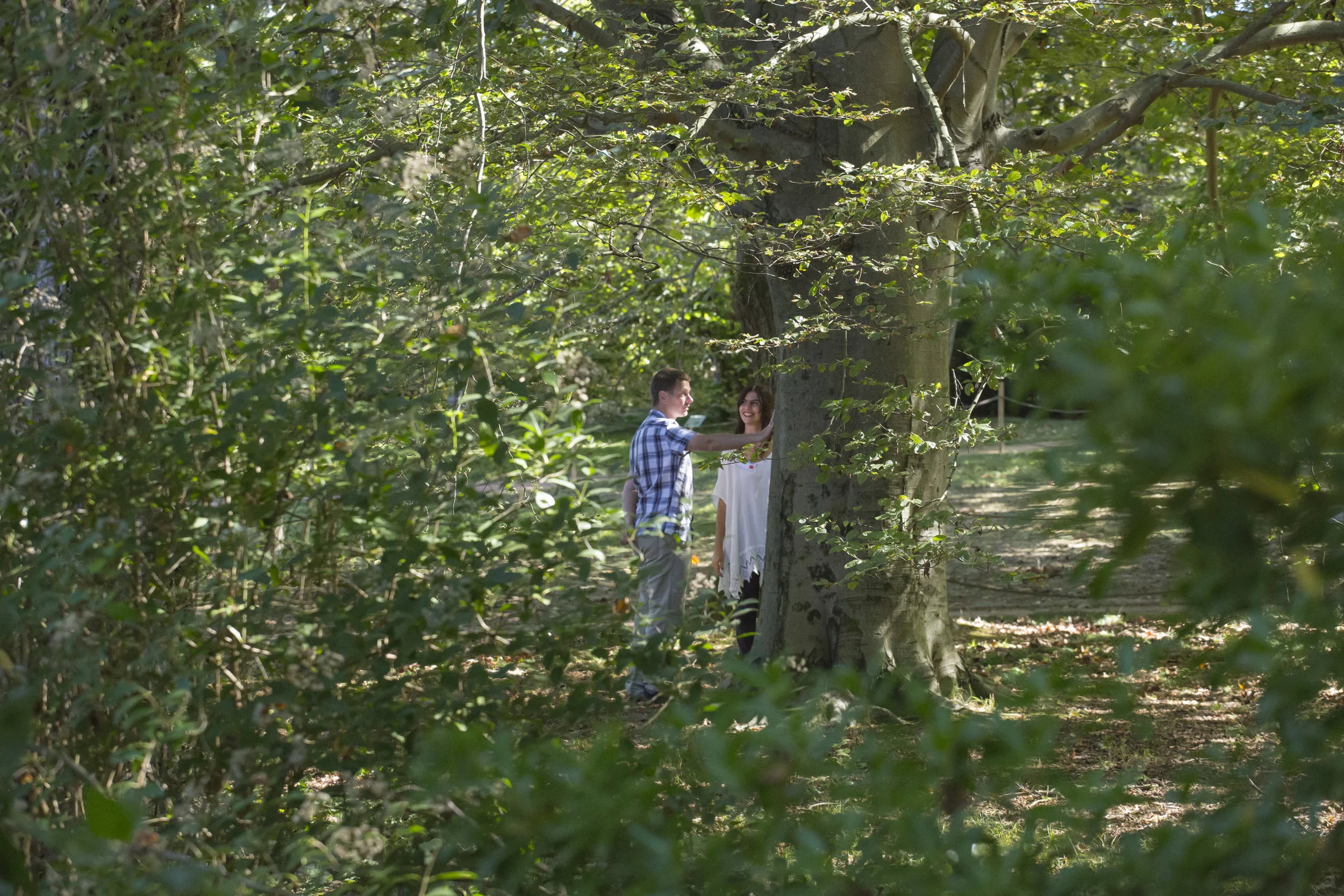 Walking Backwards - Fondation SERRALVES - Alex Cecchetti 2015