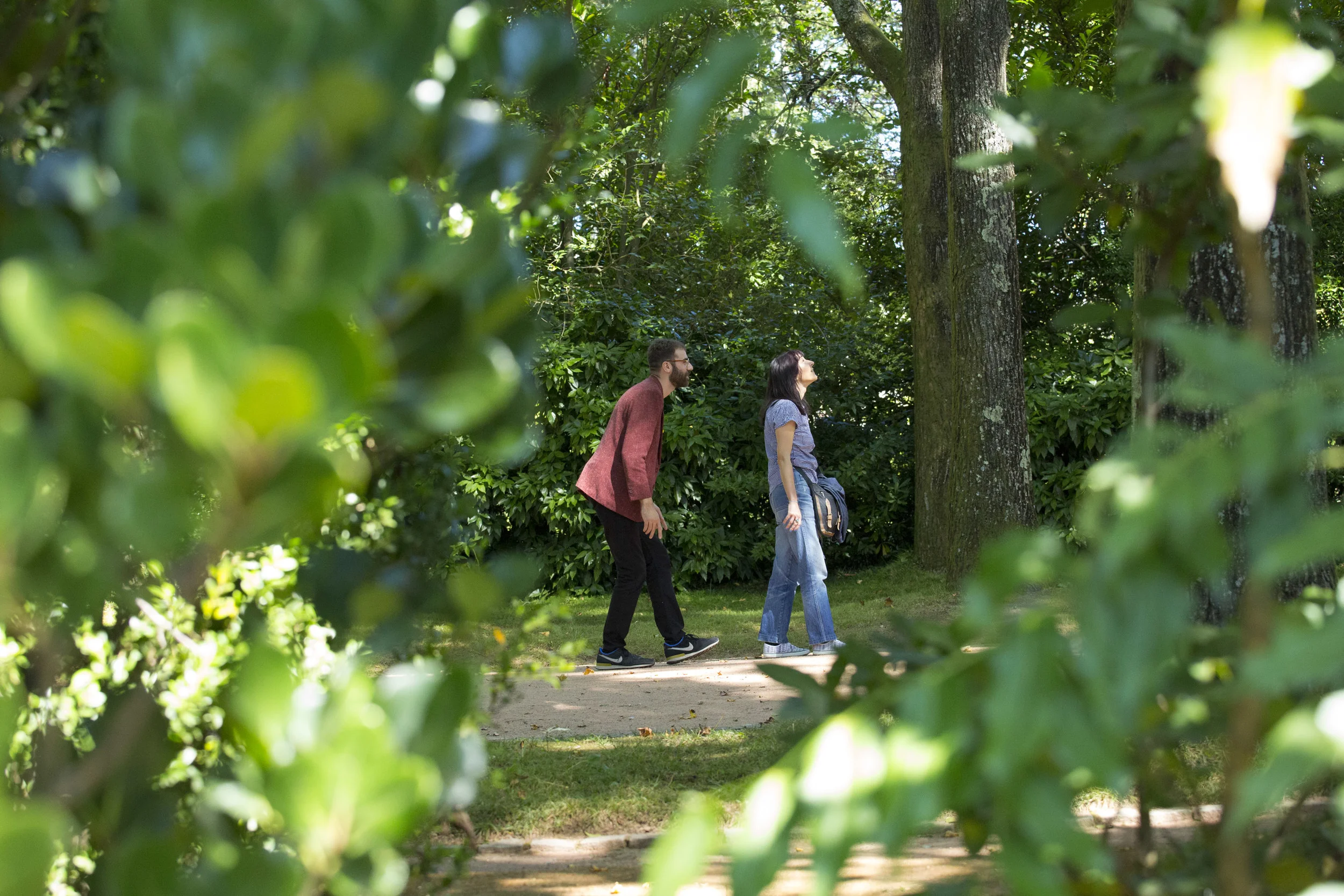 Walking Backwards - Fondation SERRALVES - Alex Cecchetti 2015