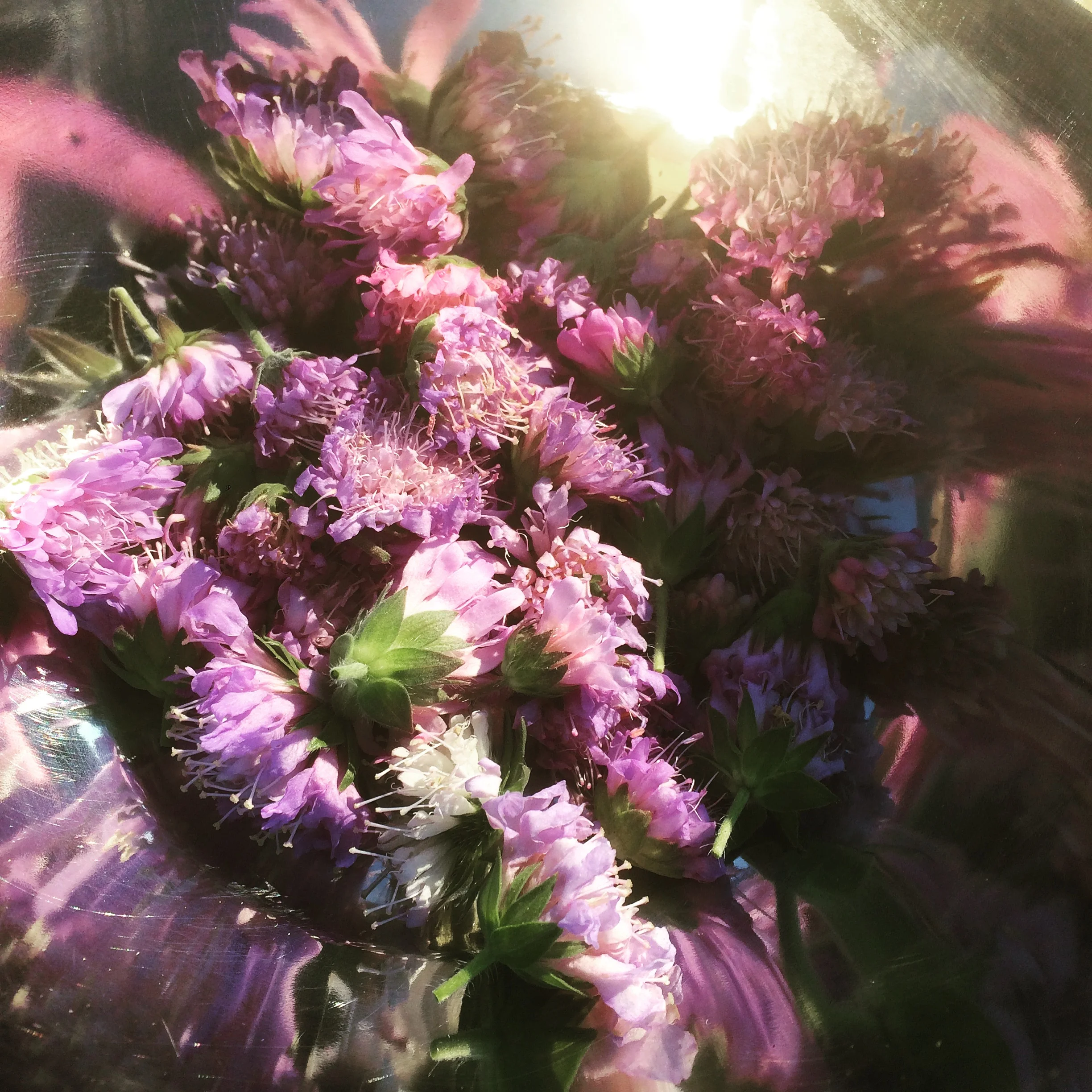  Feÿ – Rencontres d'arts, Château du Feÿ 2018 