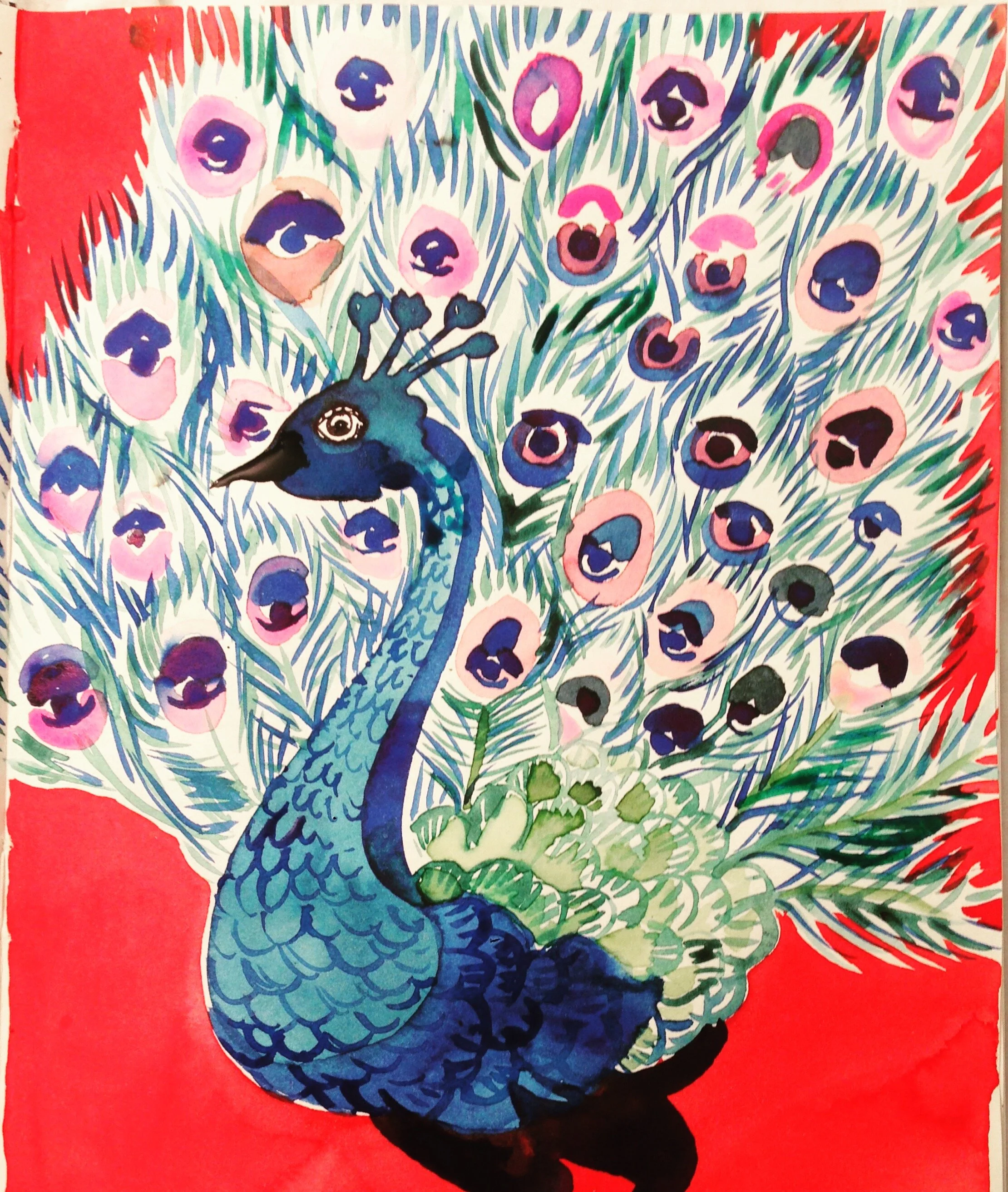 peacock - Cecchetti 2018.JPG