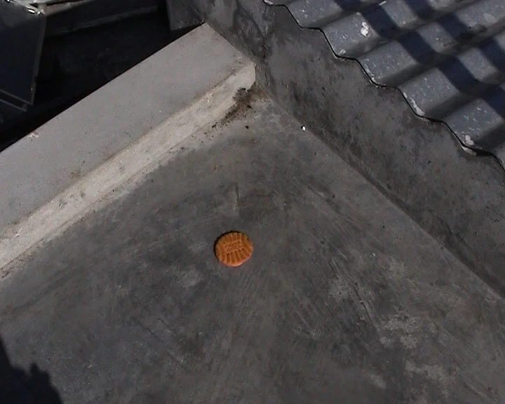 trap05b.jpg