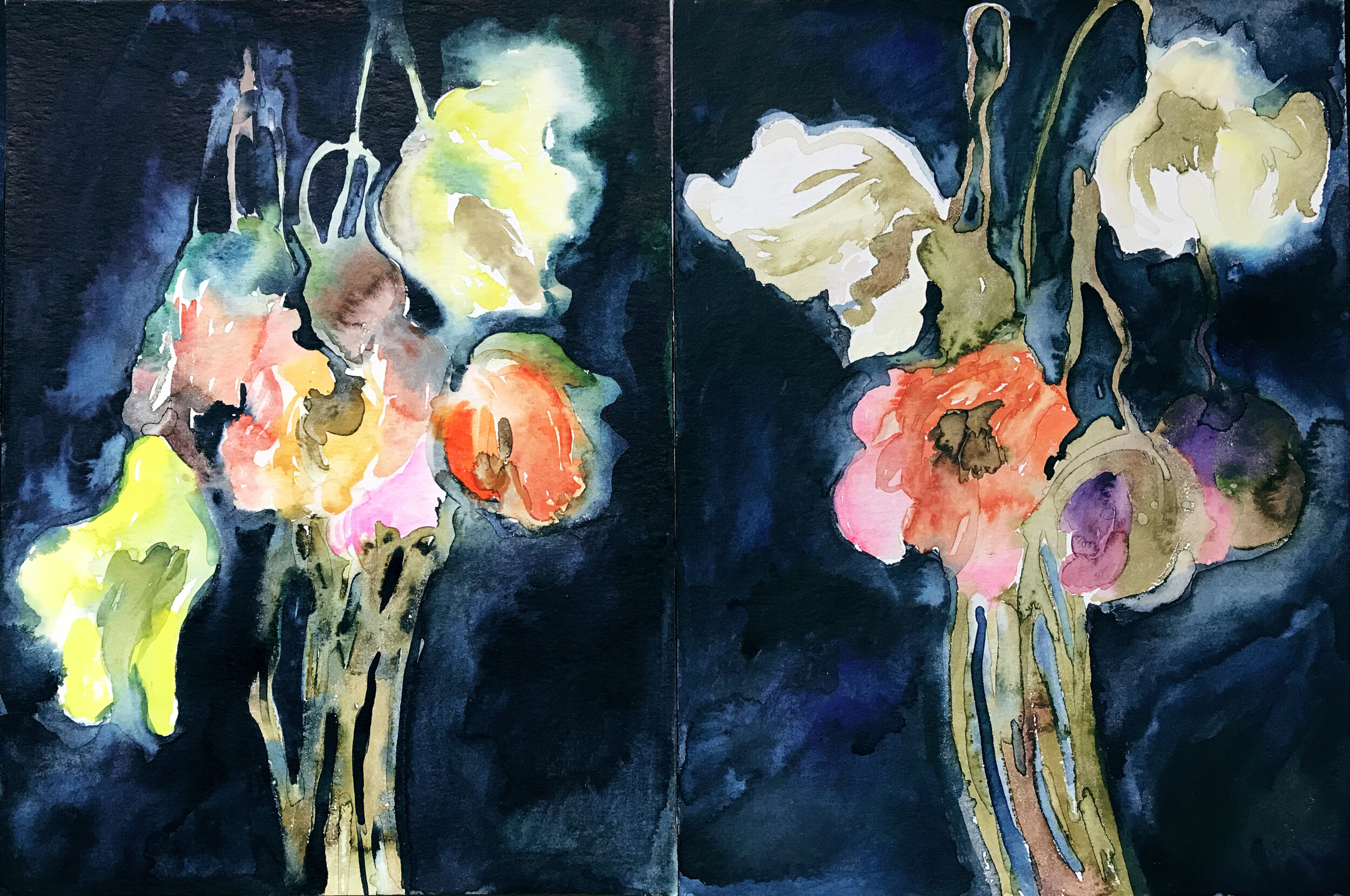 A novel Poppy Flowers.jpg