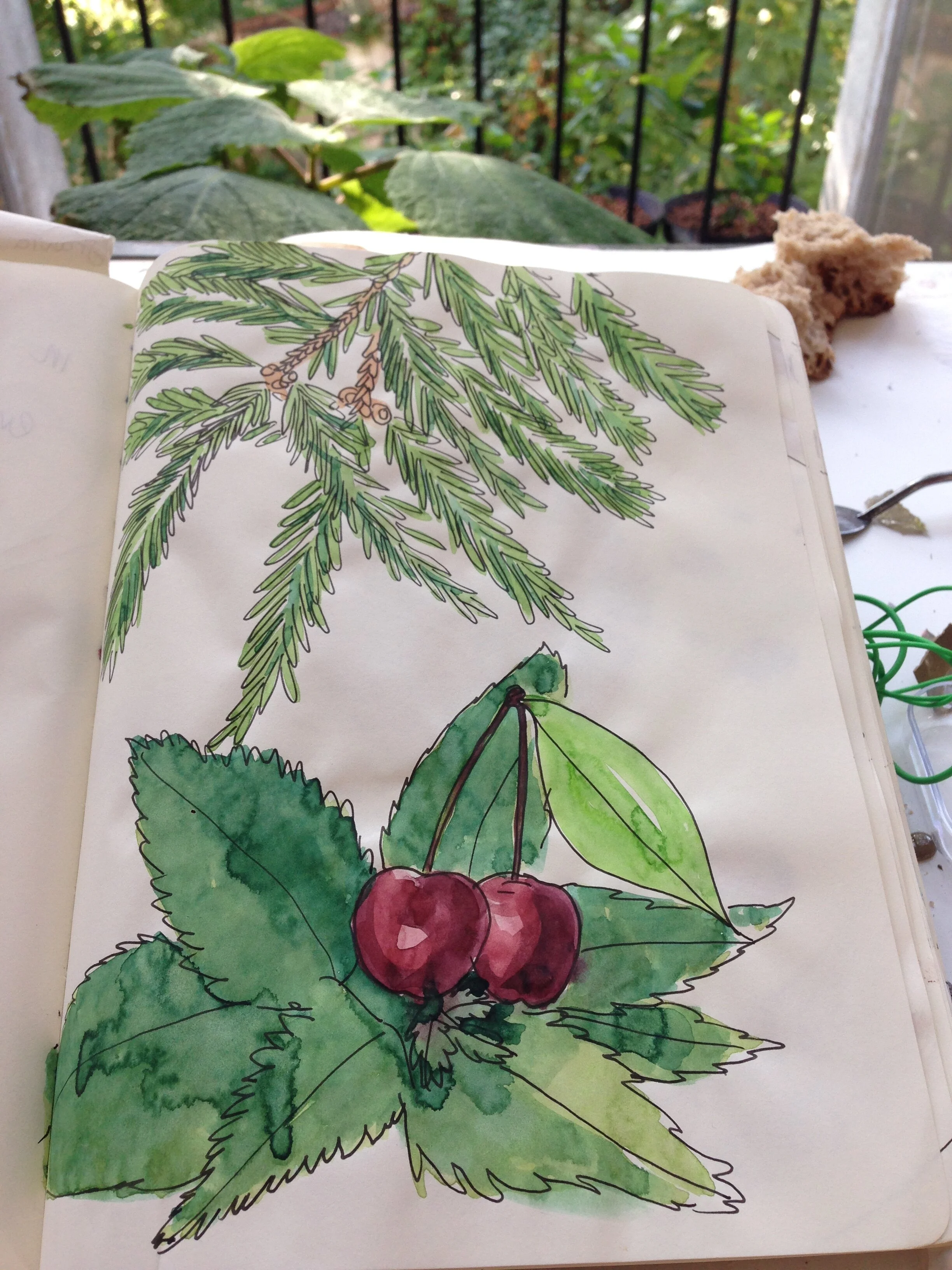  cooking recipe stufy with watercolor 