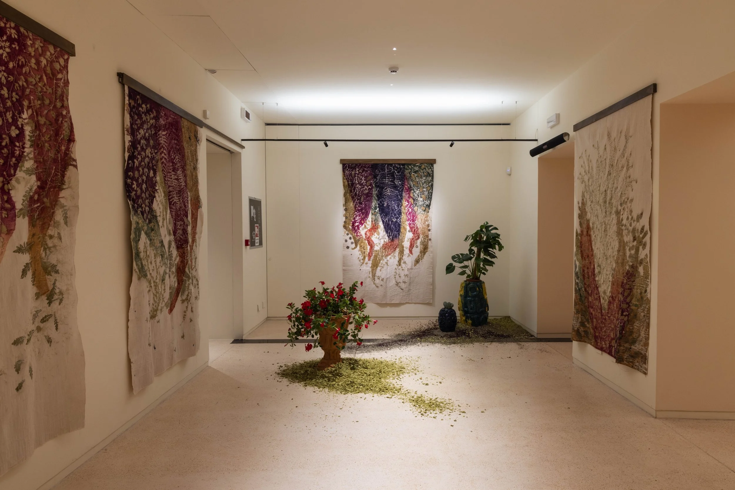 113_FOROF_SORTILEGIO_ph.Monkeys Video Lab - Copy.JPG