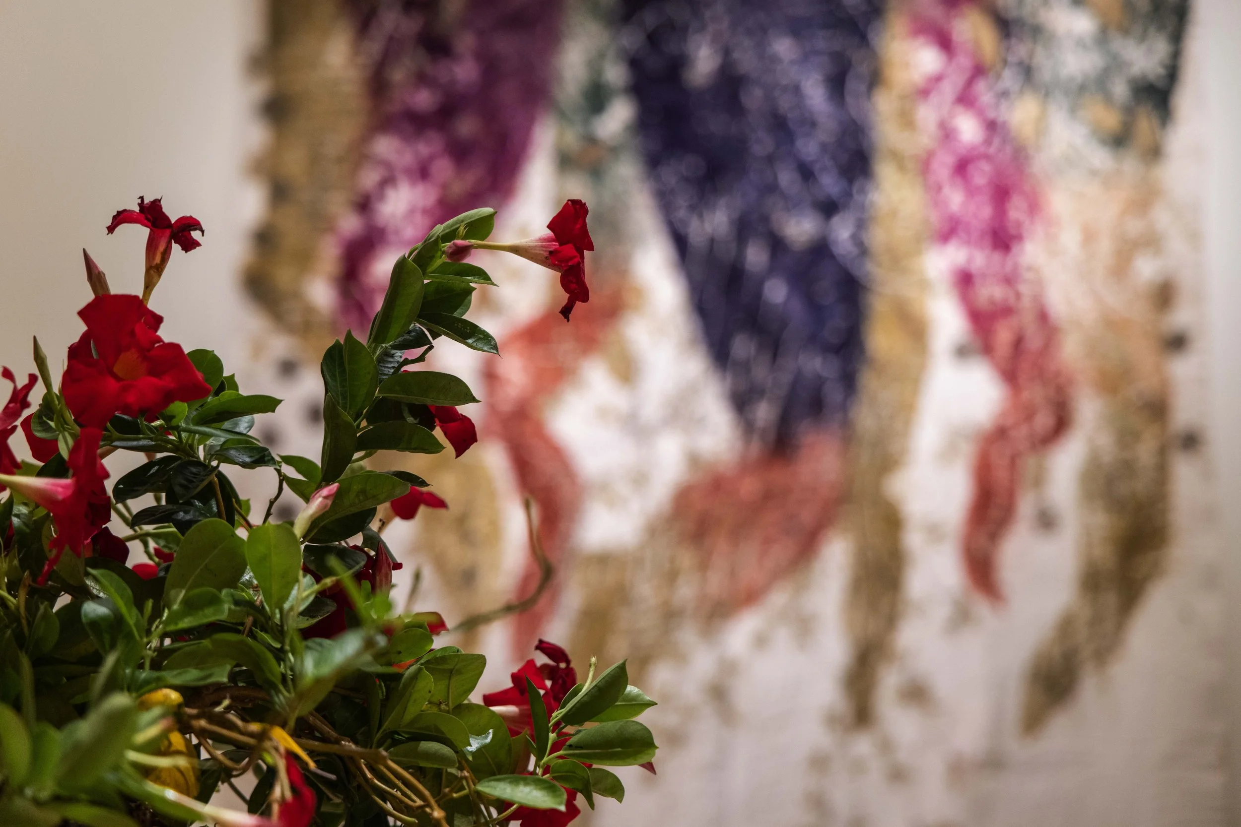 117_FOROF_SORTILEGIO_ph.Monkeys Video Lab.JPG