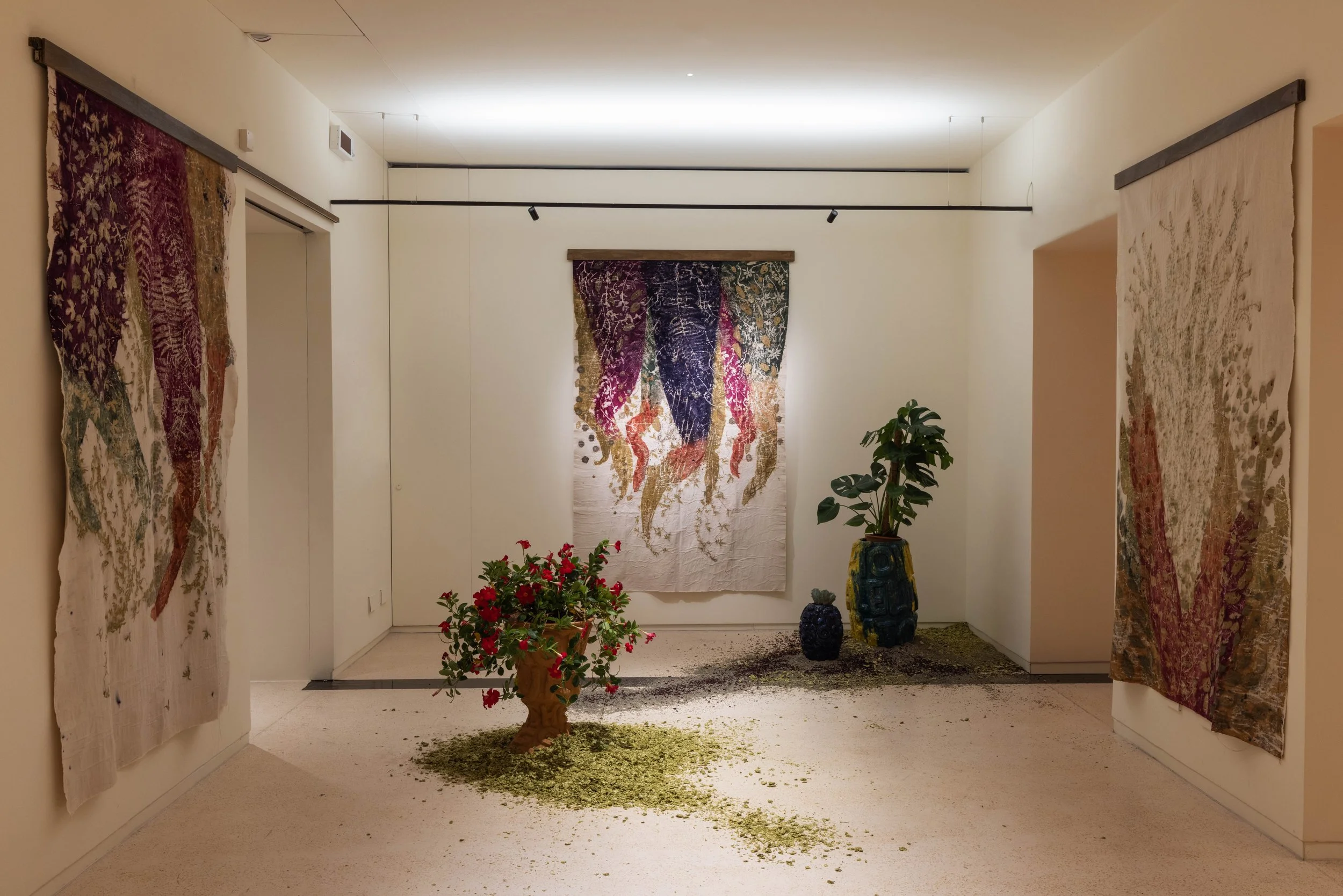 114_FOROF_SORTILEGIO_ph.Monkeys Video Lab.JPG