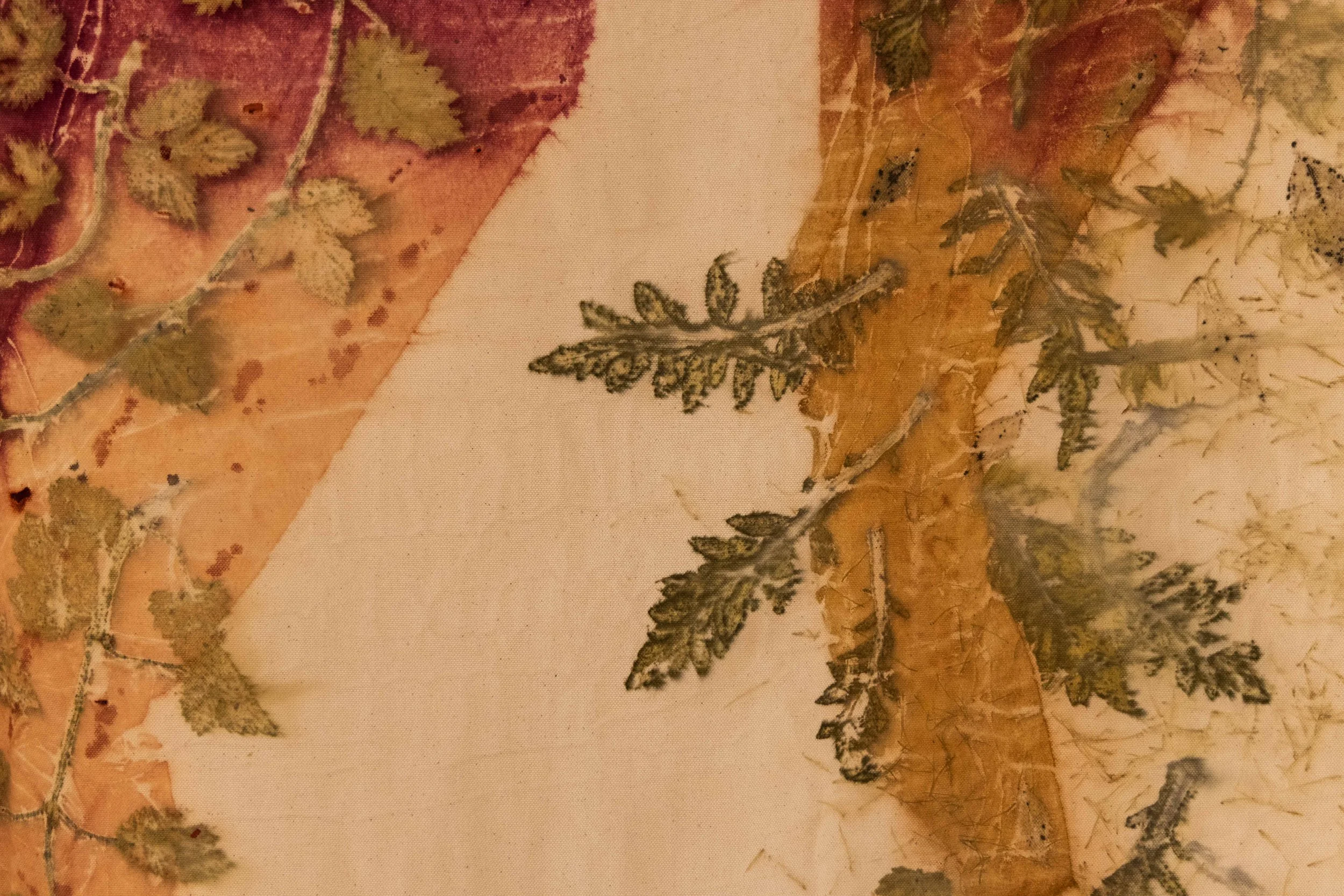 118_FOROF_SORTILEGIO_ph.Monkeys Video Lab.JPG