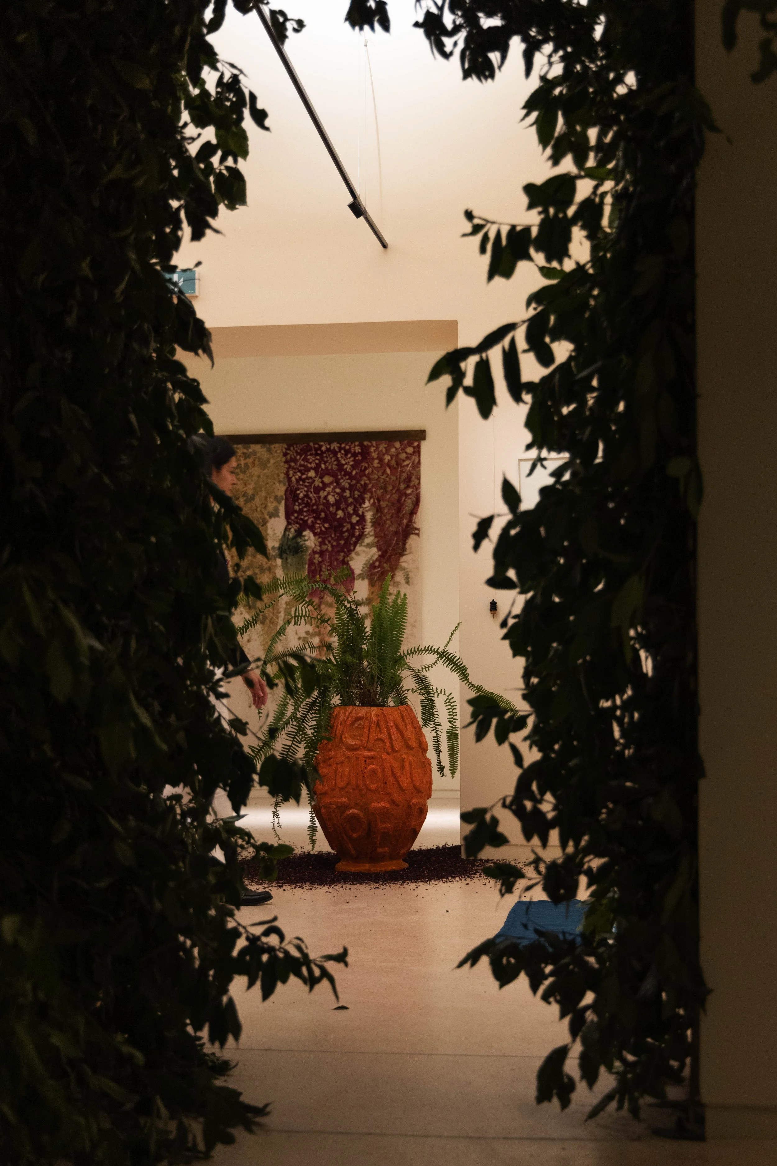 142_FOROF_SORTILEGIO_ph.Monkeys Video Lab.JPG