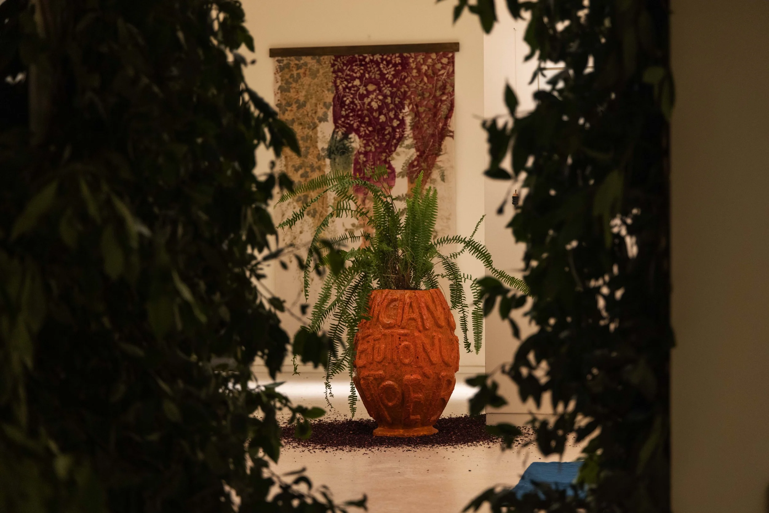 145_FOROF_SORTILEGIO_ph.Monkeys Video Lab.JPG