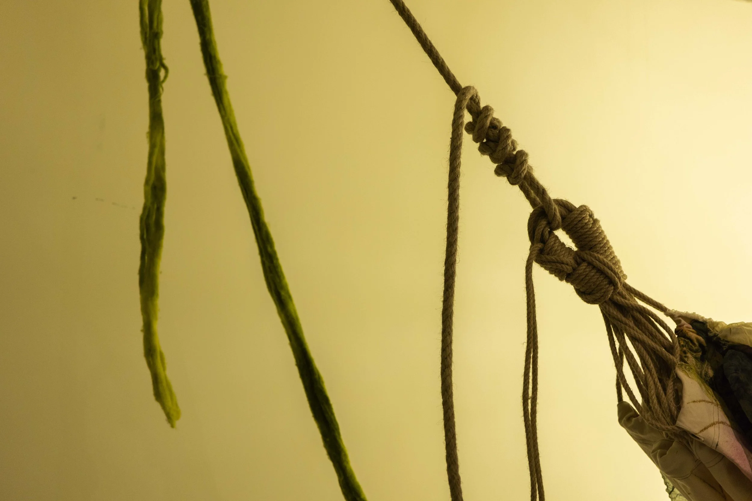 15_FOROF_SORTILEGIO_ph.Monkeys Video Lab.JPG