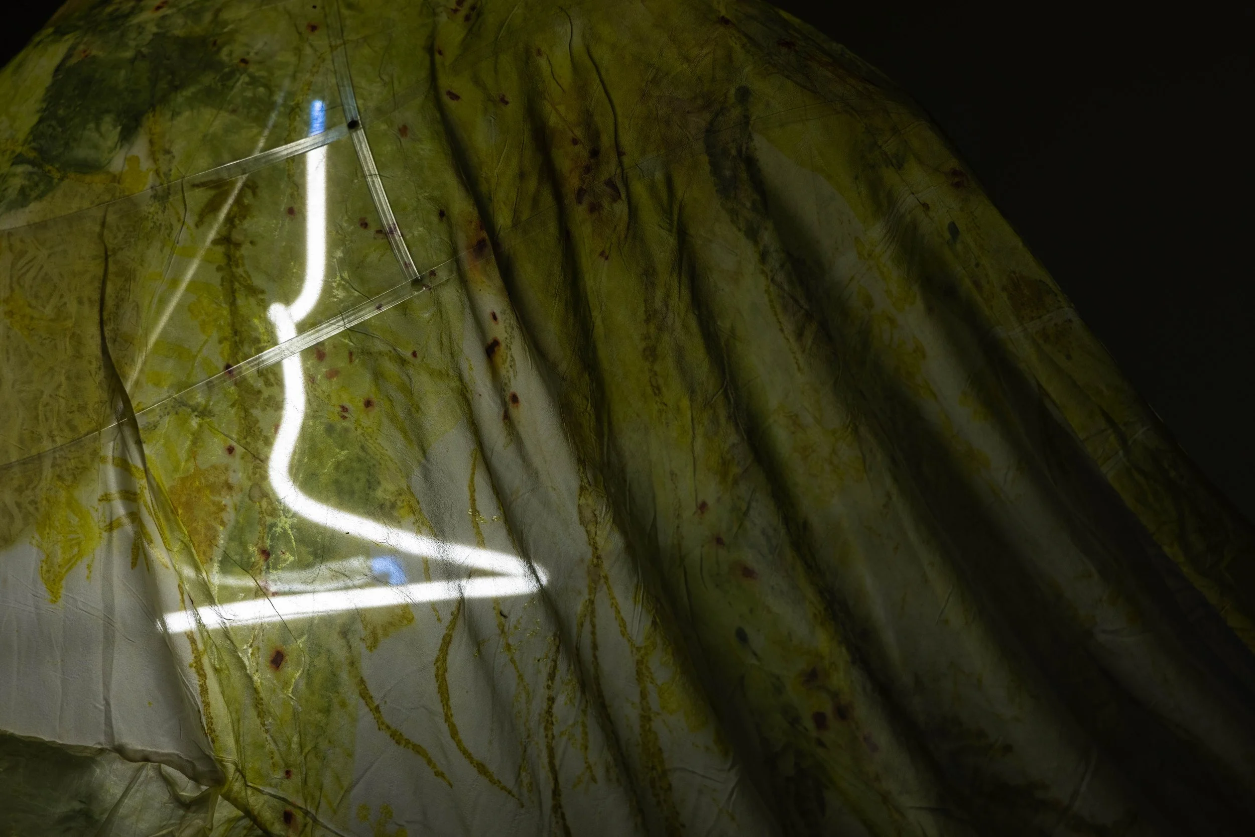 43_FOROF_SORTILEGIO_ph.Monkeys Video Lab.JPG