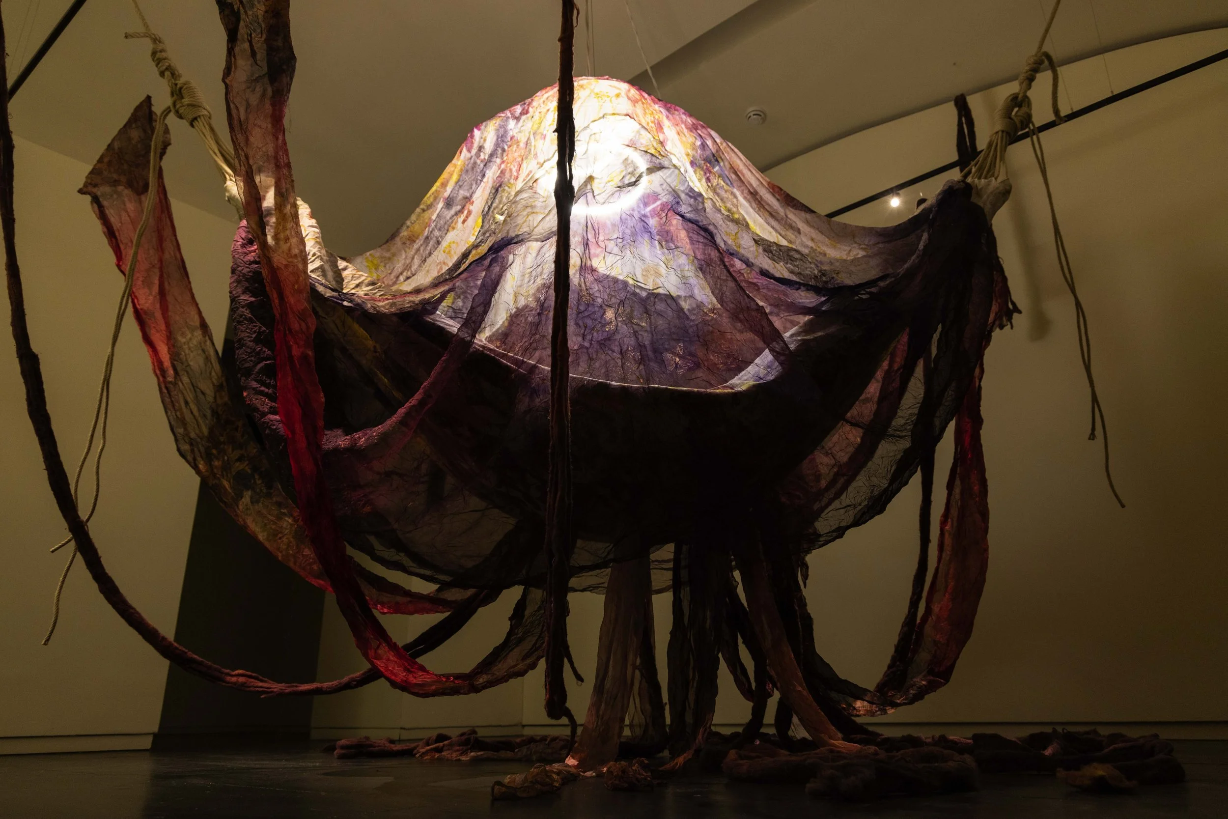 55_FOROF_SORTILEGIO_ph.Monkeys Video Lab.JPG