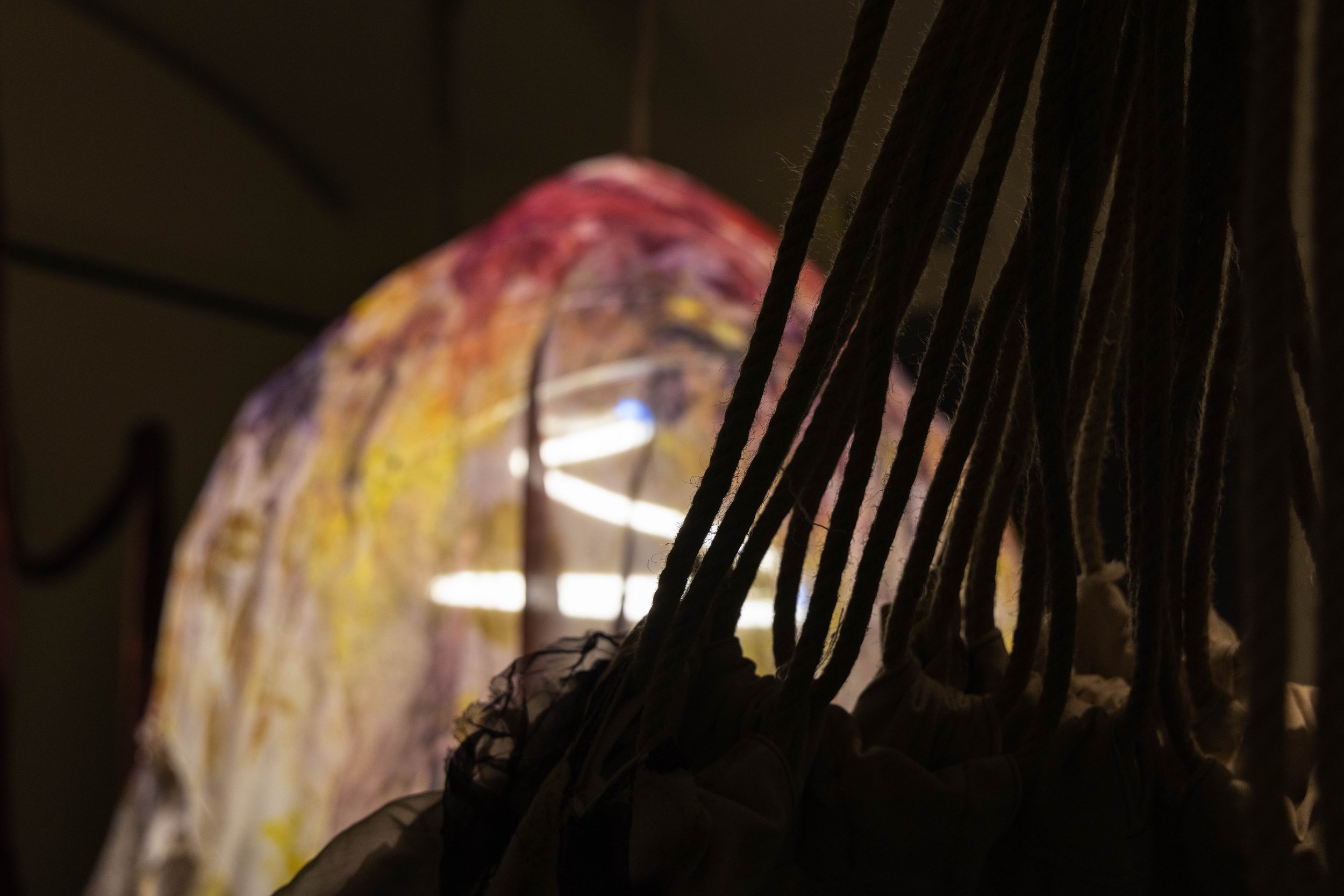 56_FOROF_SORTILEGIO_ph.Monkeys Video Lab.JPG