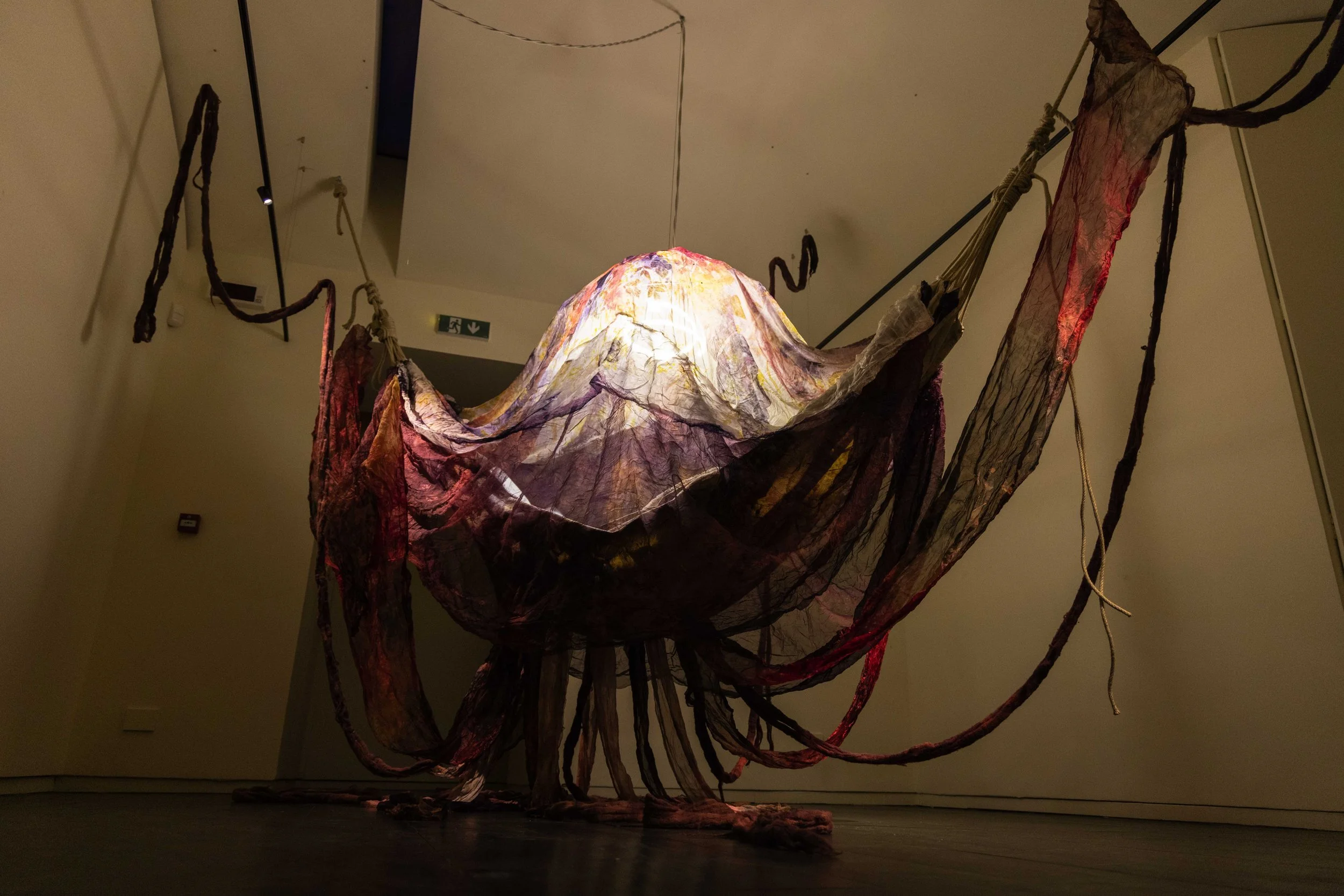 57_FOROF_SORTILEGIO_ph.Monkeys Video Lab.JPG