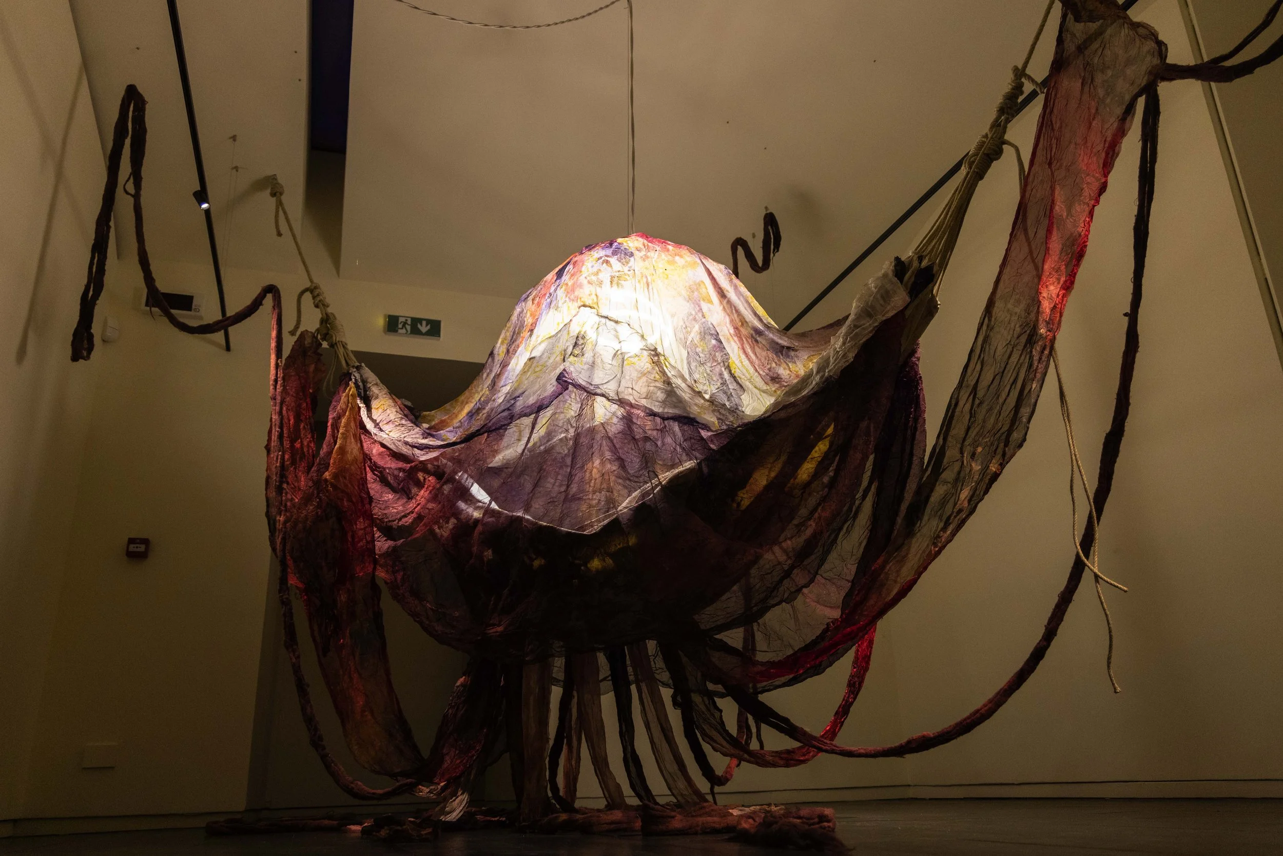 58_FOROF_SORTILEGIO_ph.Monkeys Video Lab.JPG