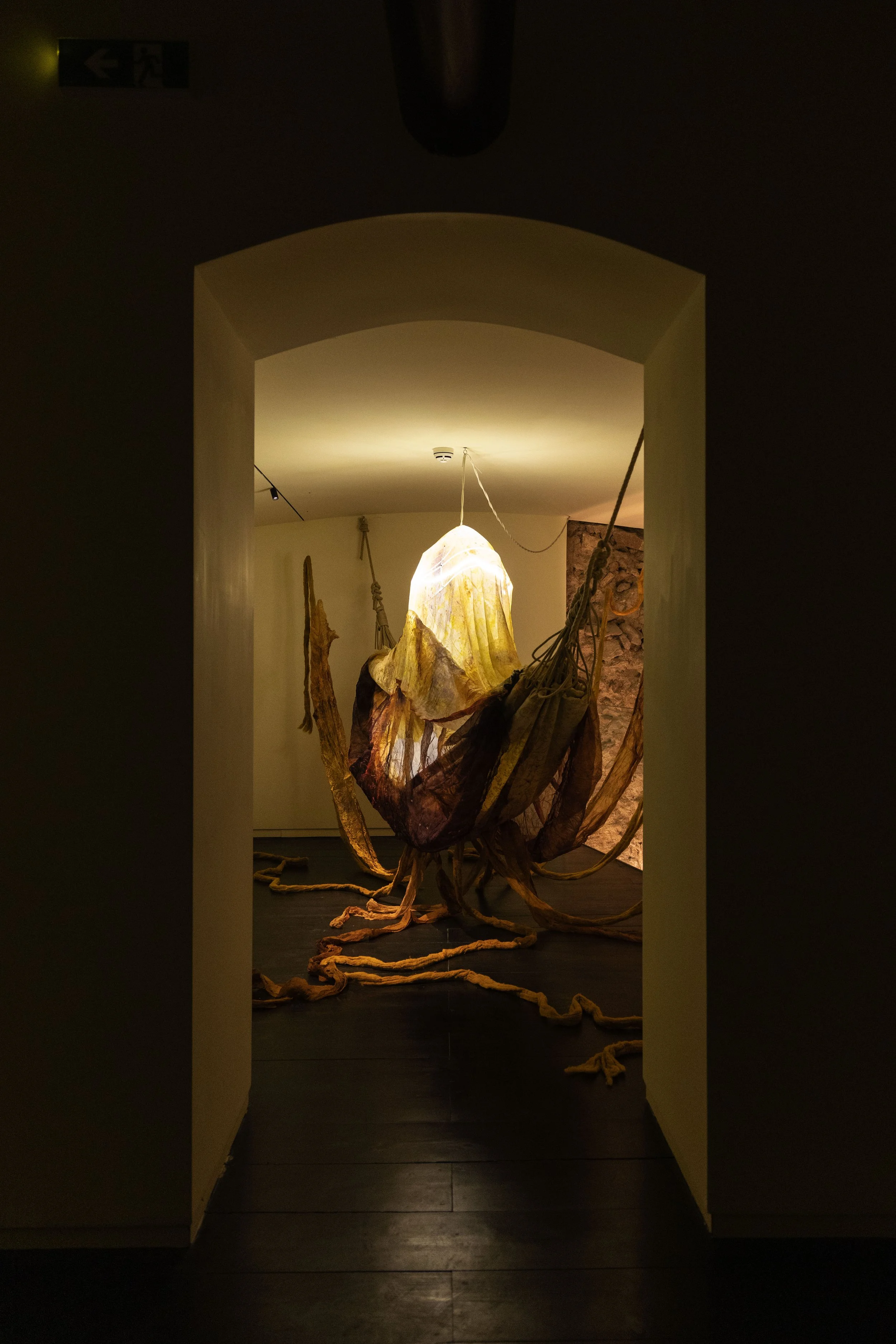 59_FOROF_SORTILEGIO_ph.Monkeys Video Lab.JPG