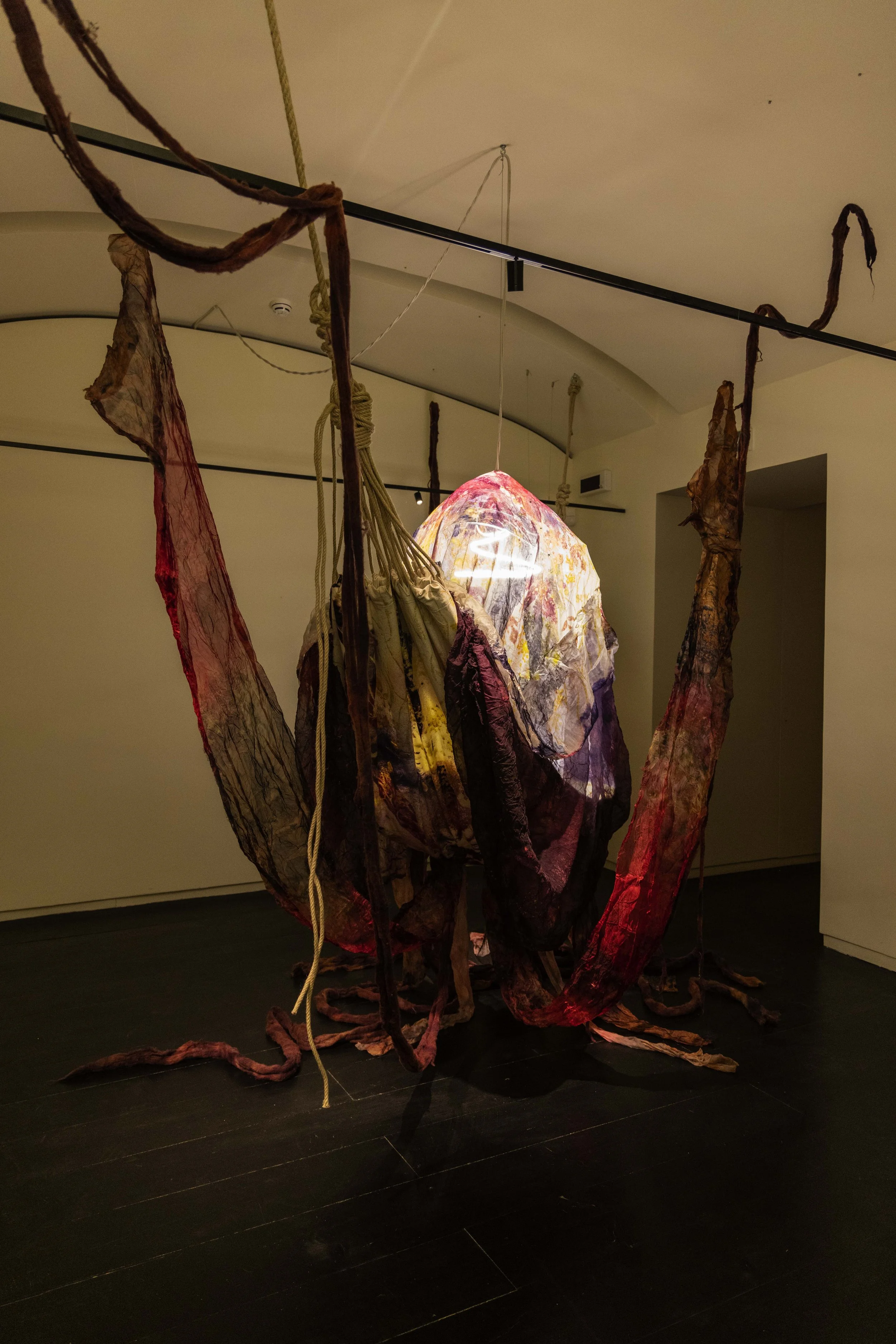 62_FOROF_SORTILEGIO_ph.Monkeys Video Lab.JPG