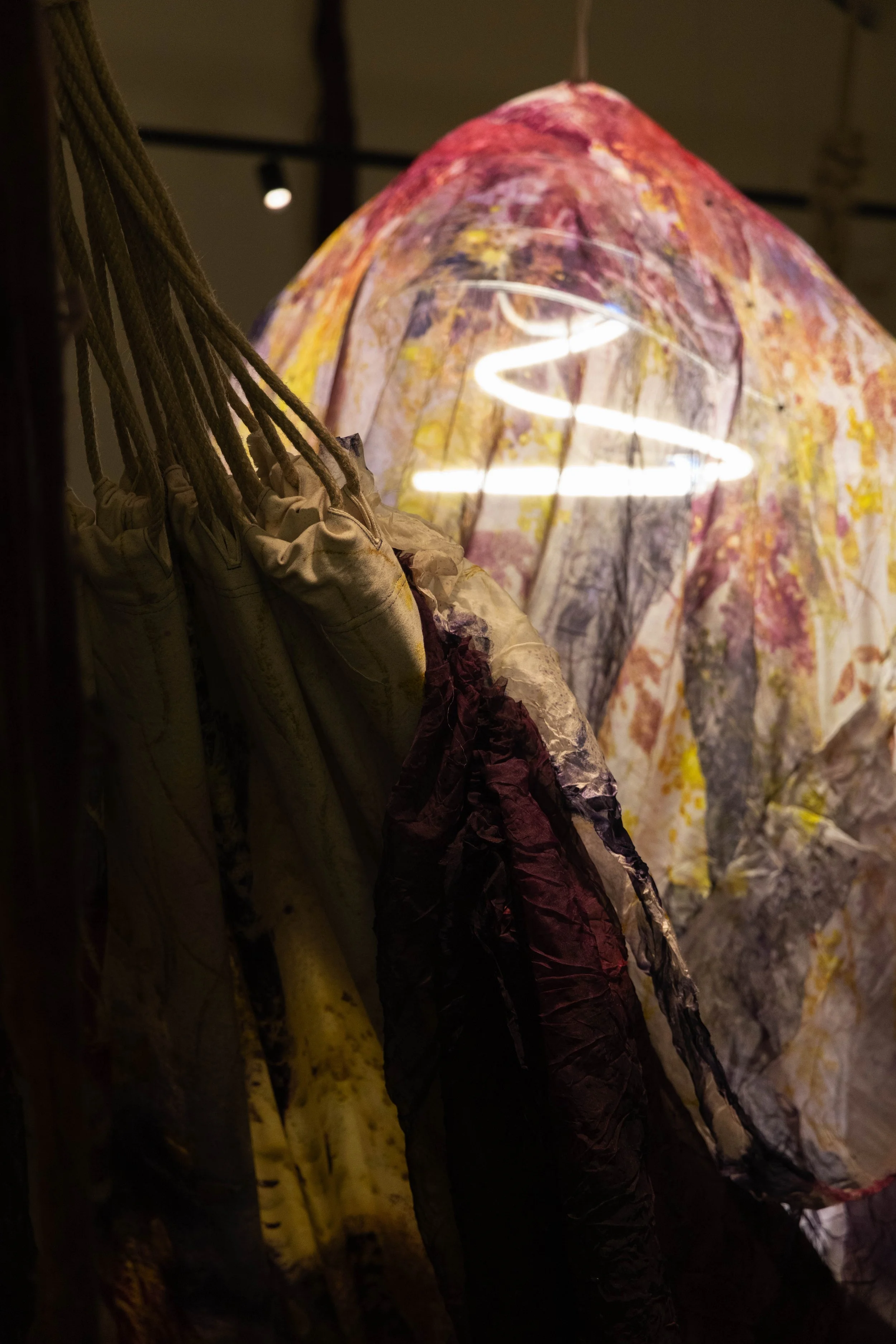 64_FOROF_SORTILEGIO_ph.Monkeys Video Lab.JPG