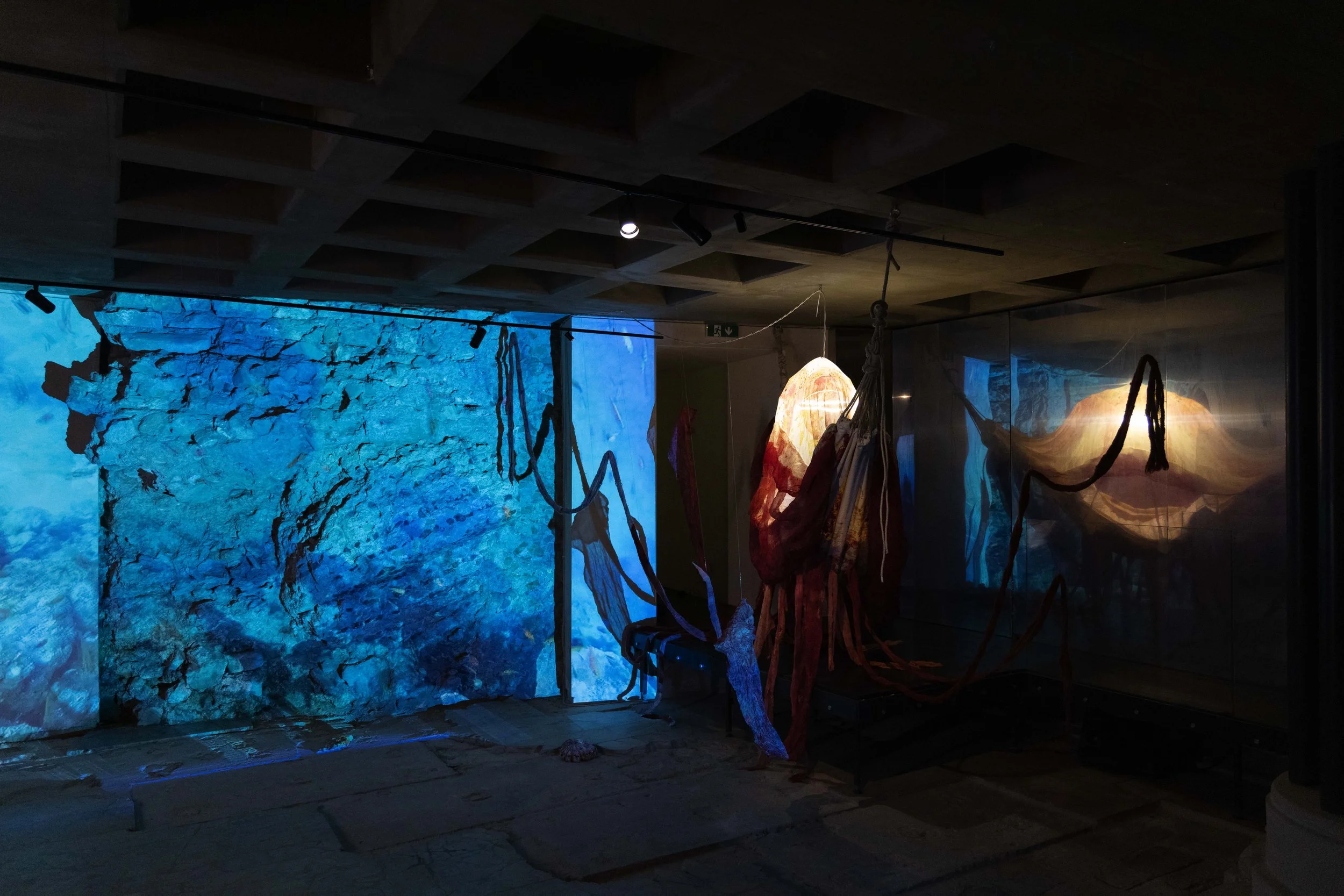 94_FOROF_SORTILEGIO_ph.Monkeys Video Lab.JPG