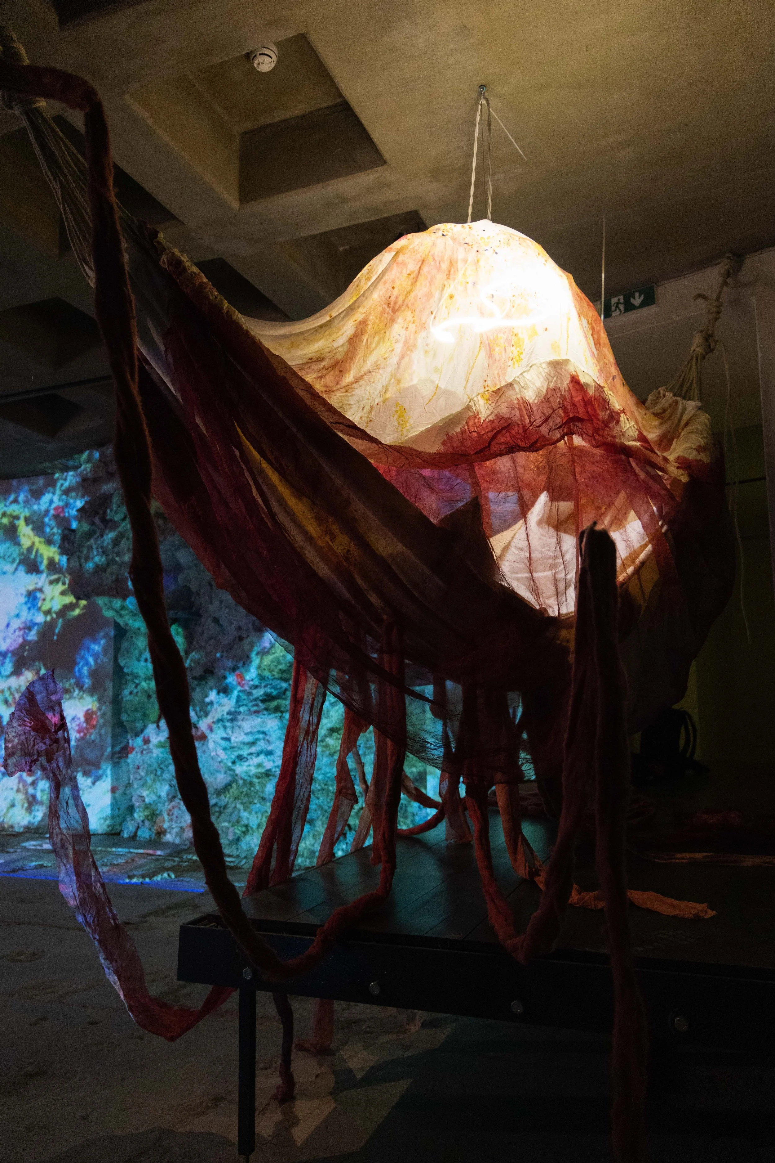 96_FOROF_SORTILEGIO_ph.Monkeys Video Lab.JPG