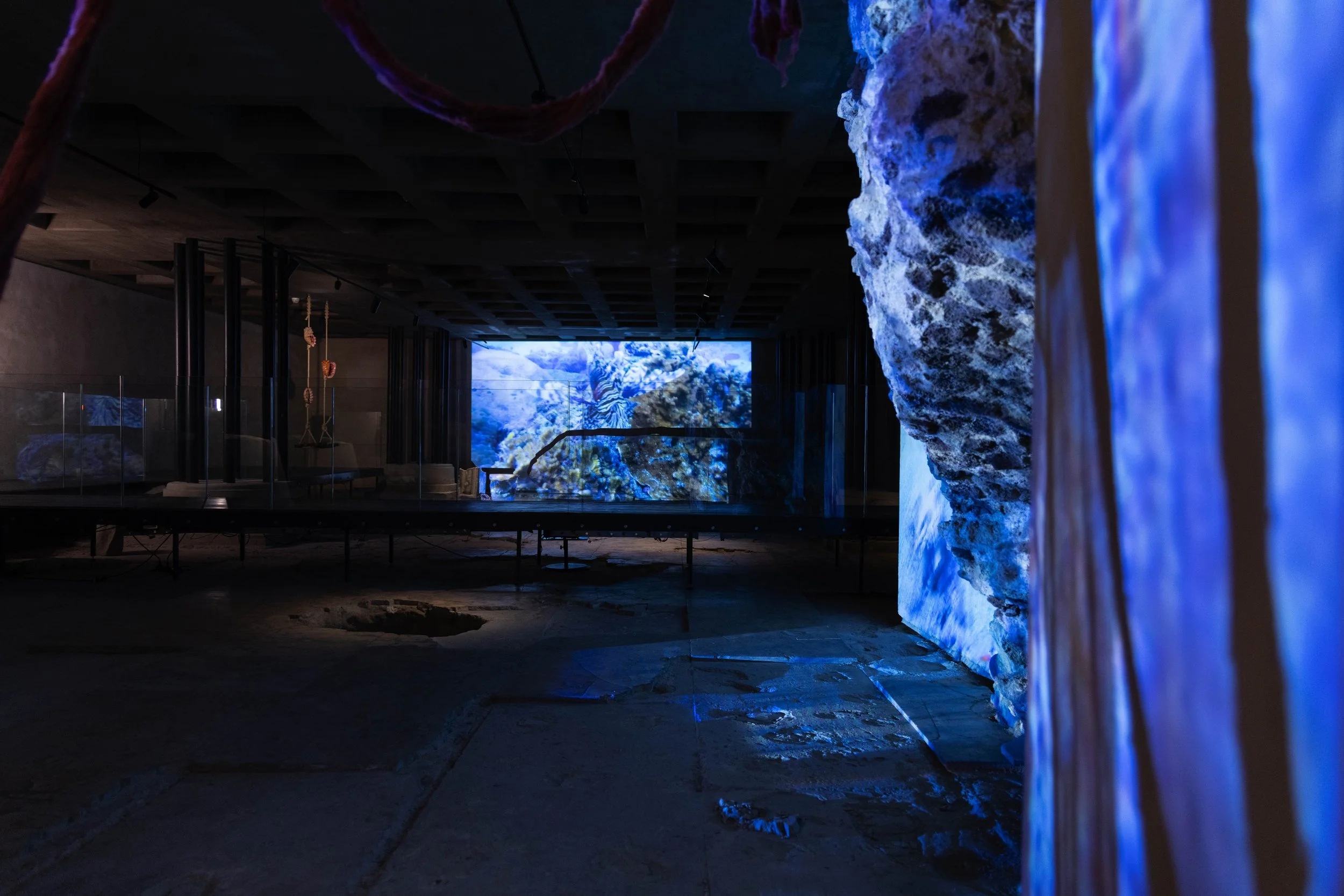 108_FOROF_SORTILEGIO_ph.Monkeys Video Lab.JPG