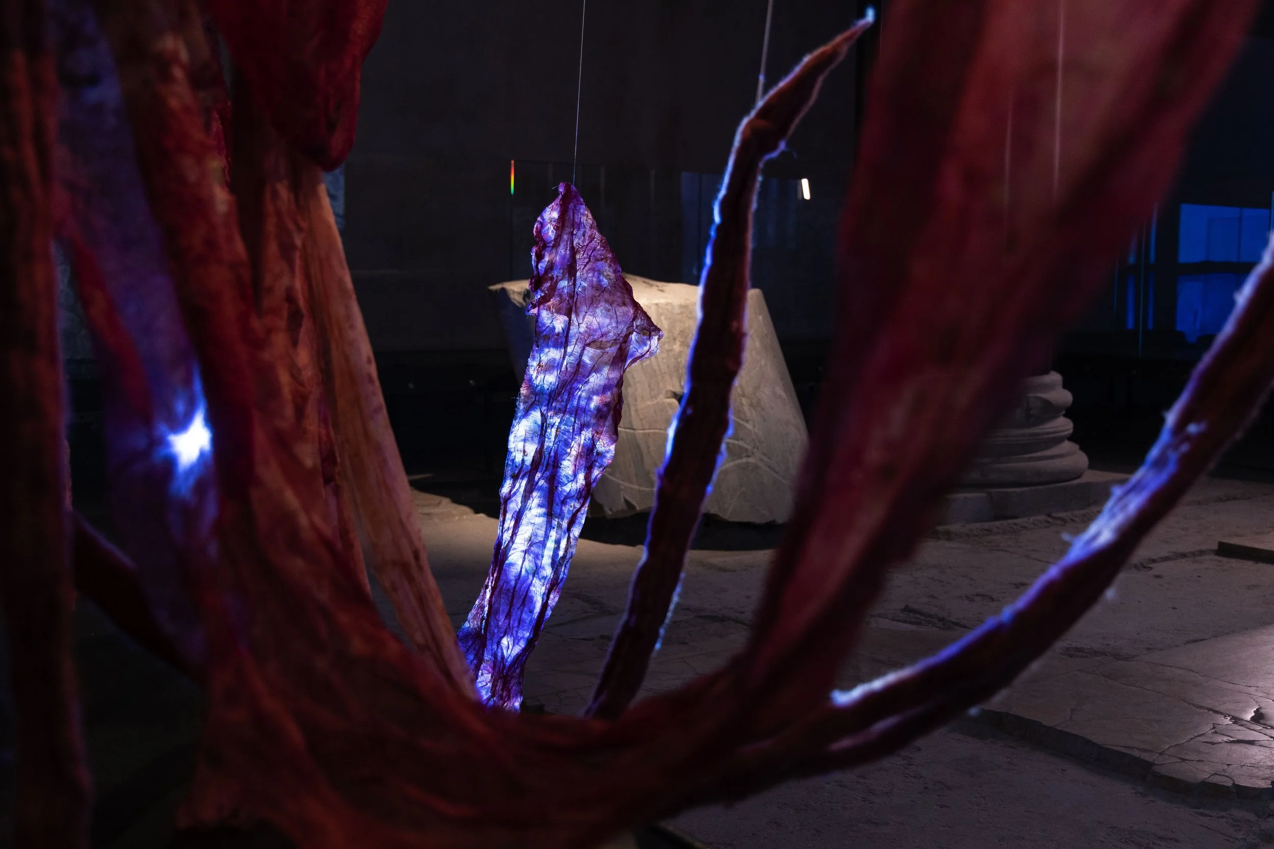 105_FOROF_SORTILEGIO_ph.Monkeys Video Lab.JPG