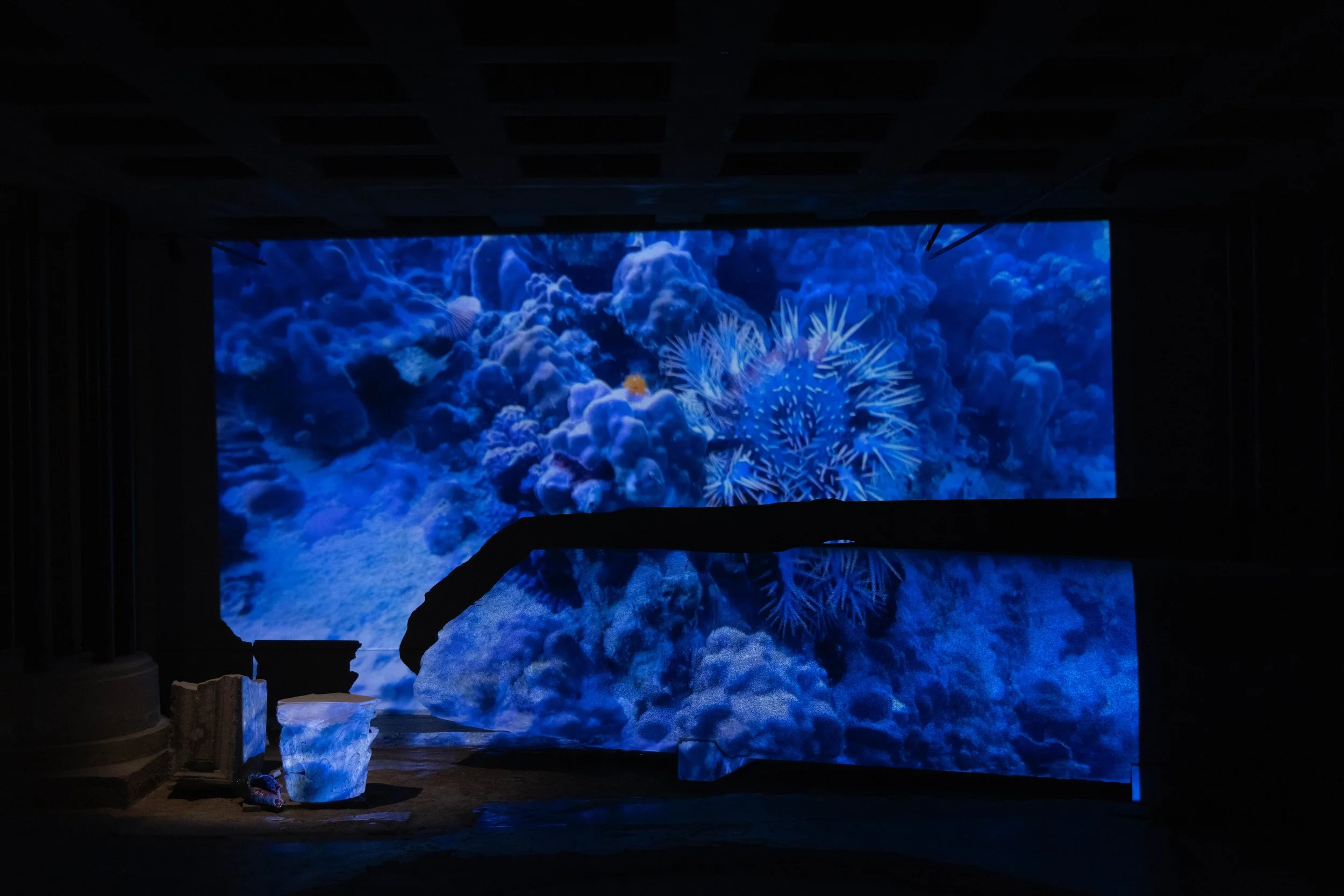 19_FOROF_SORTILEGIO_ph.Monkeys Video Lab.JPG