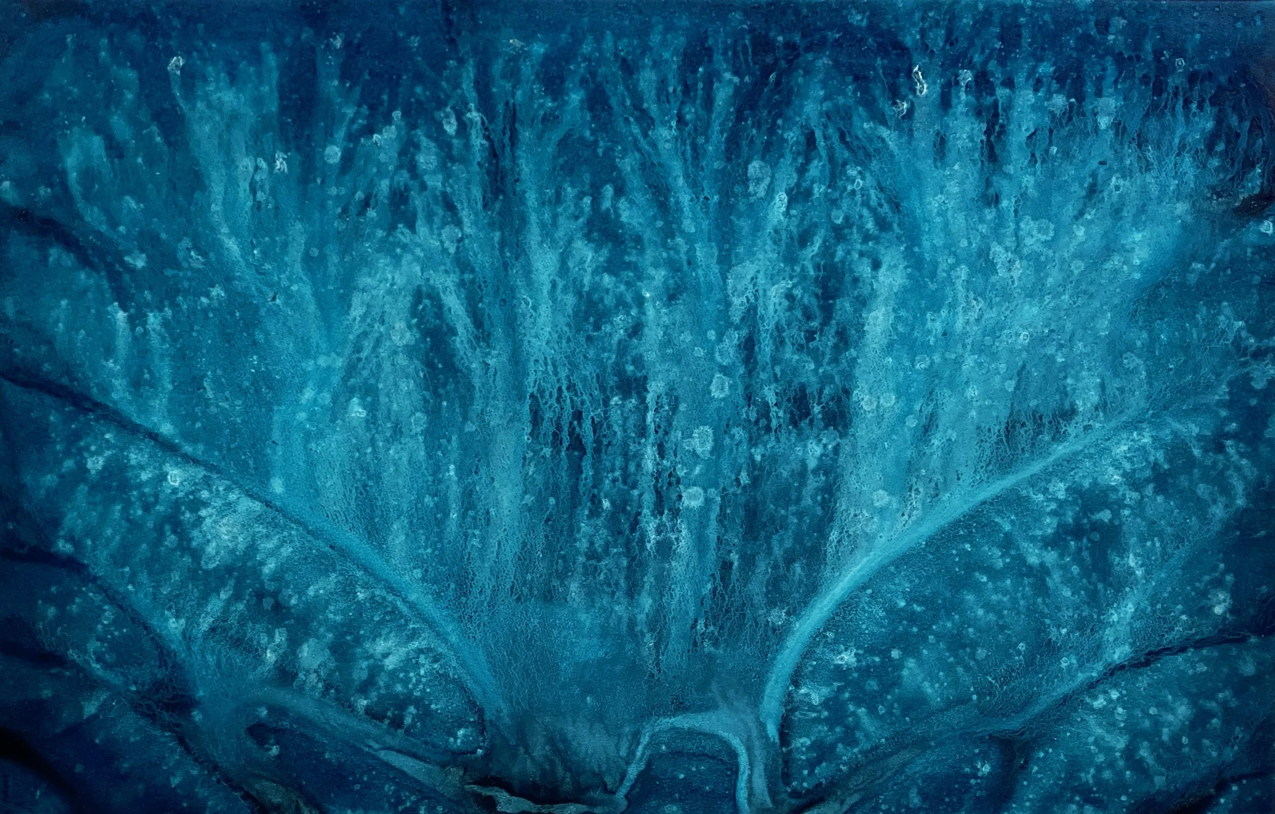 BLUE 3 underwater visions 2024 DETAIL CECCHETTI.jpg