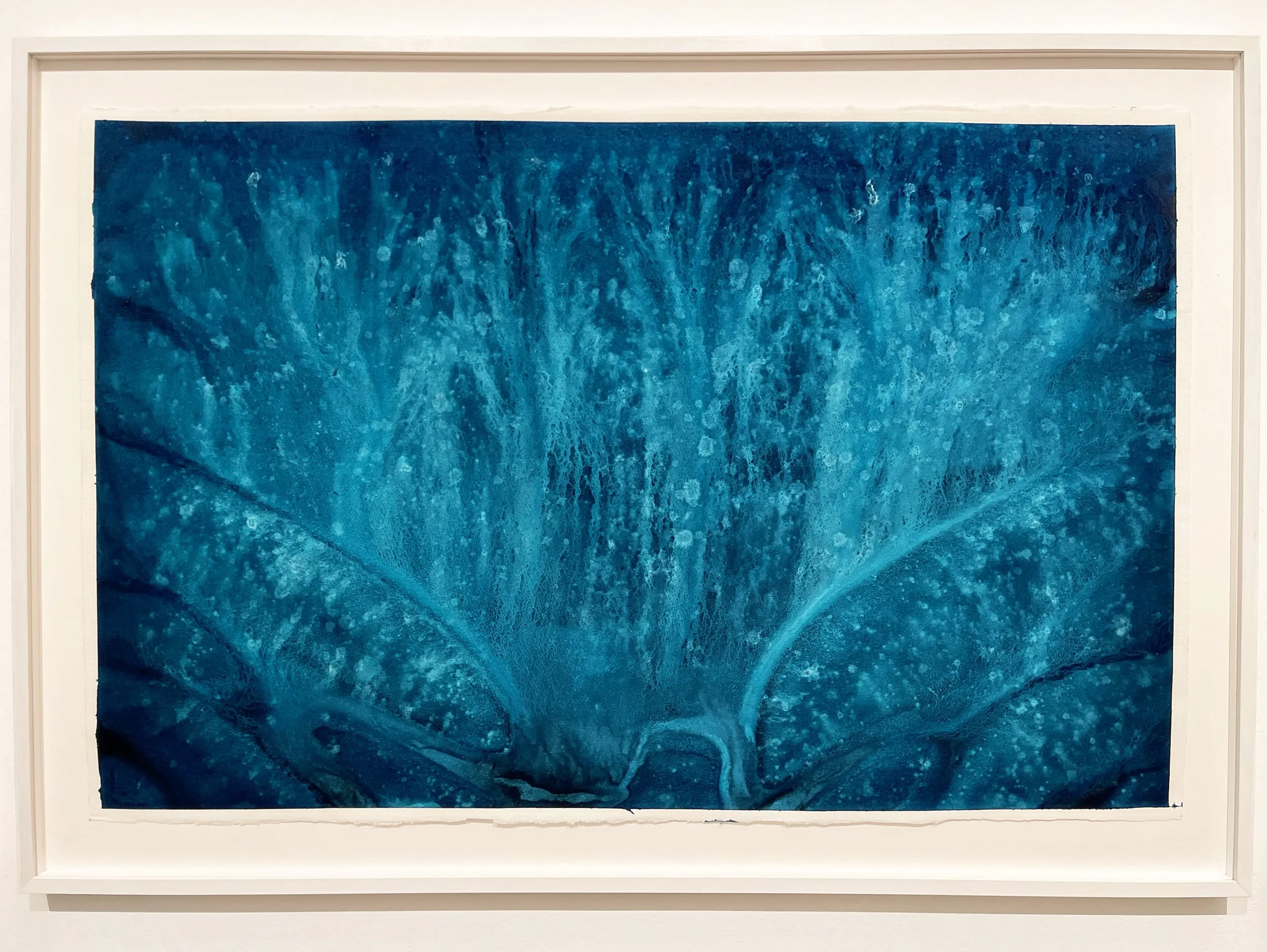 BLUE 3  intenso OK underwater visions 2024 CECCHETTI.jpg