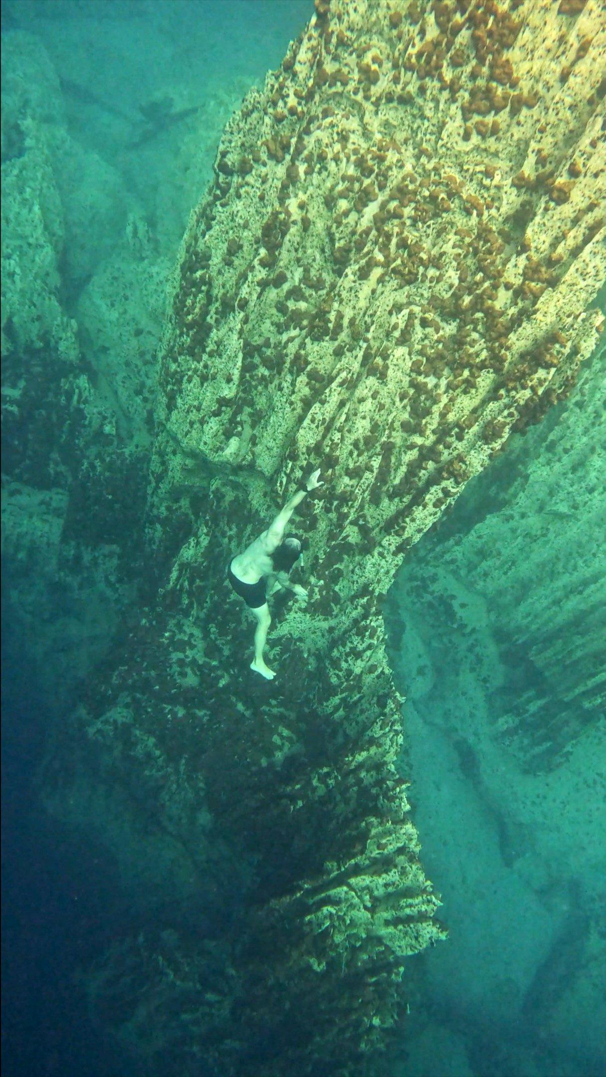 DIVE BARRACUDA LAKE image 2.jpg