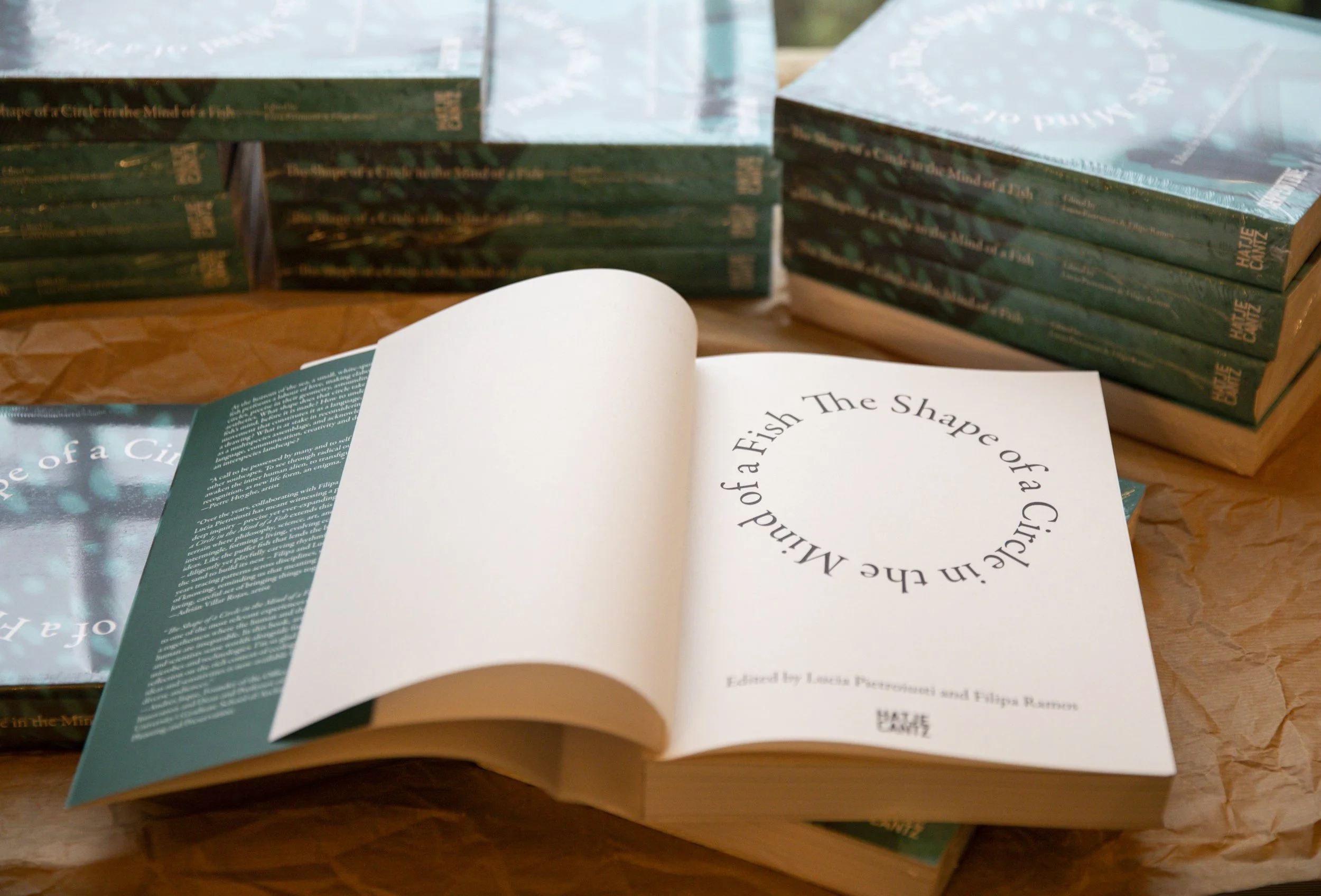 IMMA_earth rising -1993.jpg