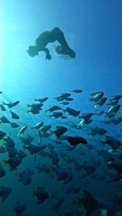 ariel evil brother cartwell.jpg