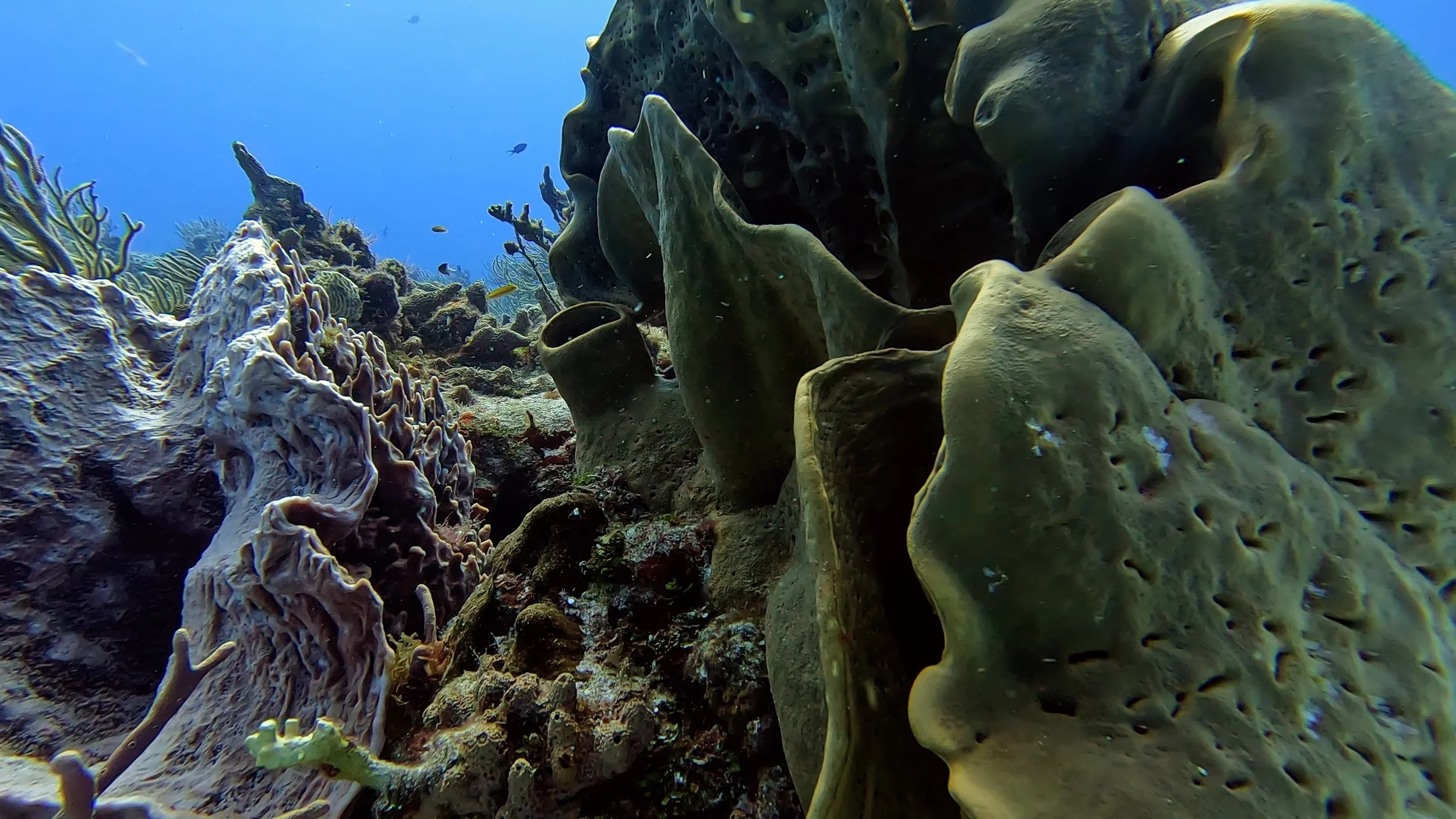 quaderni sottomarini 4.jpg