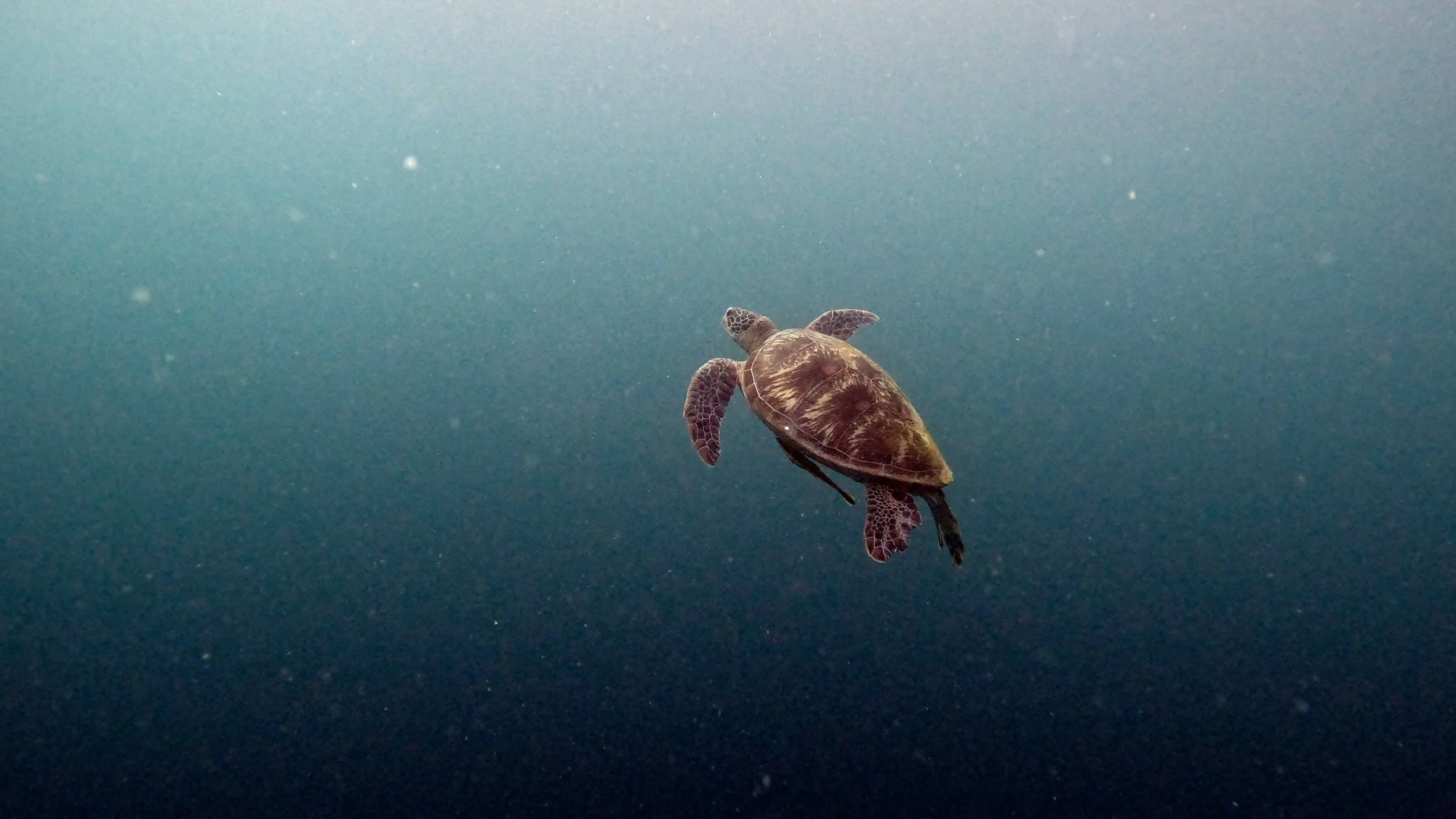 quaderni sottomarini 7.jpg