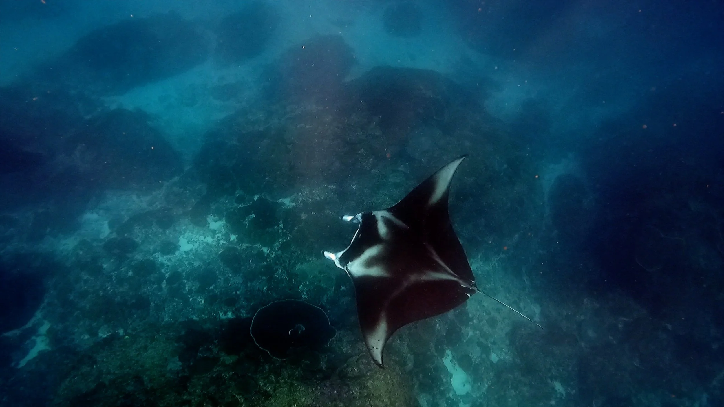 quaderni sottomarini 8.jpg