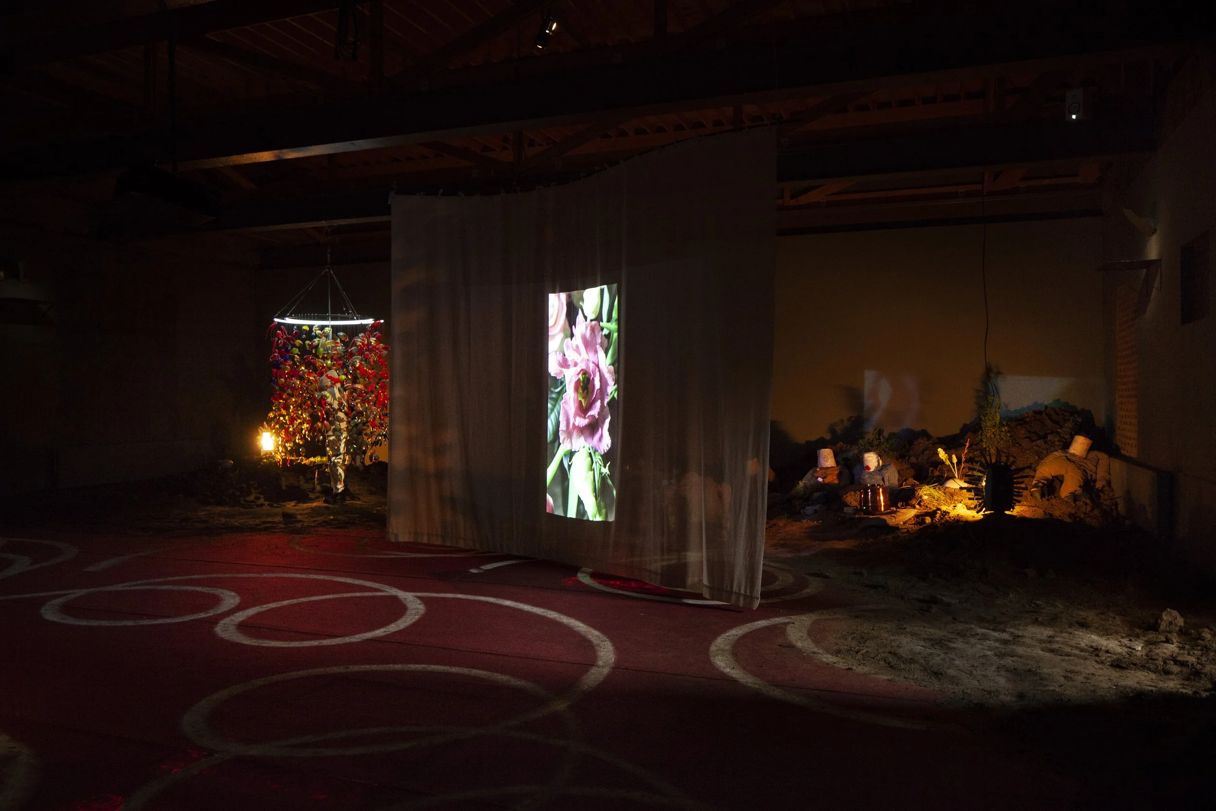 NETWERK_FEB2020_15 copy.jpg