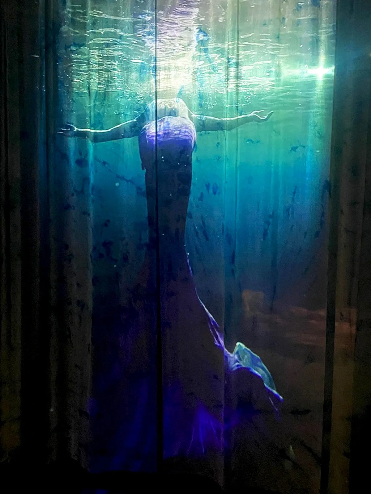 Mermeid on silk a.jpg