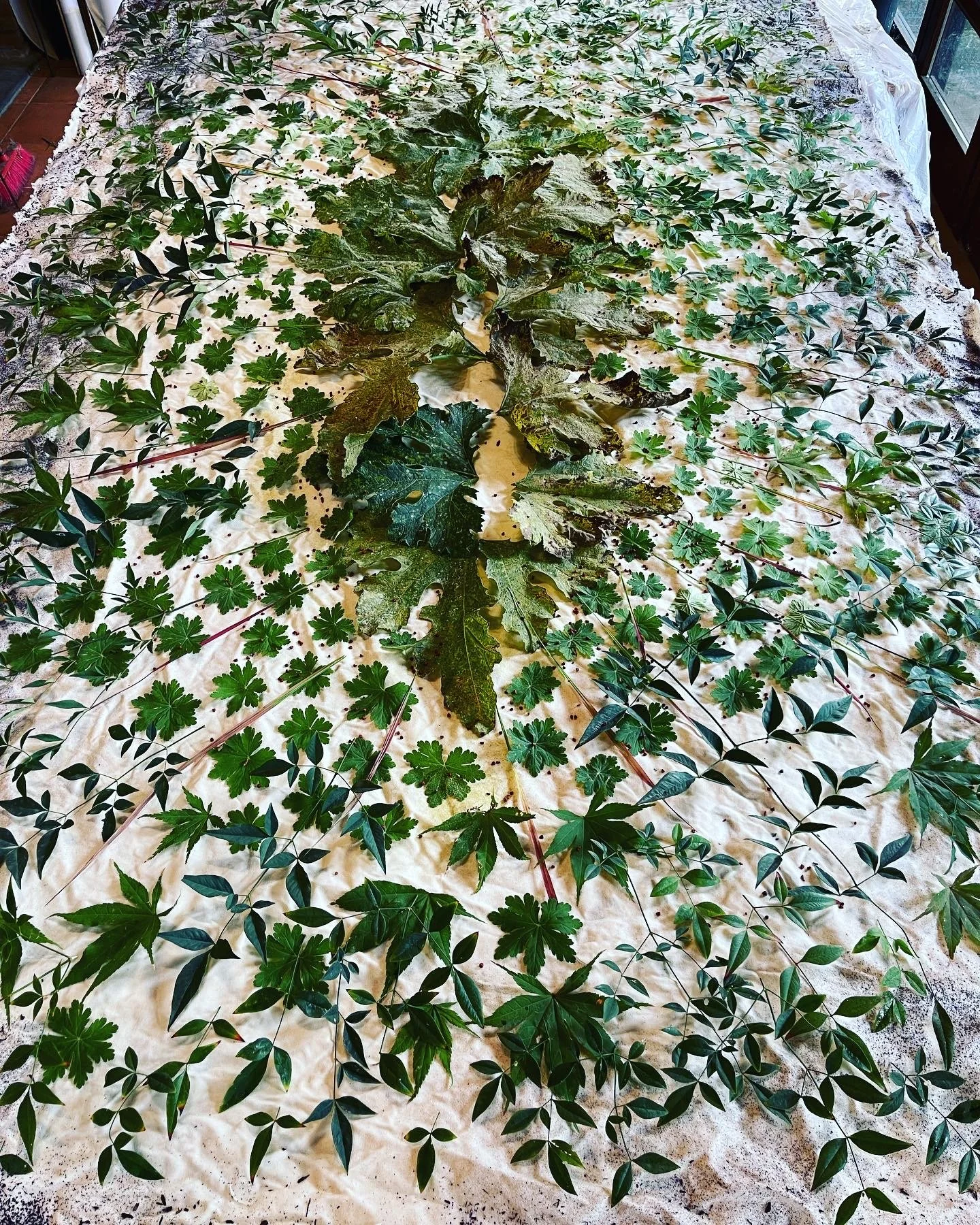 330398A2-3674-475E-8F7B-8E808A3D26E4 copy.jpg