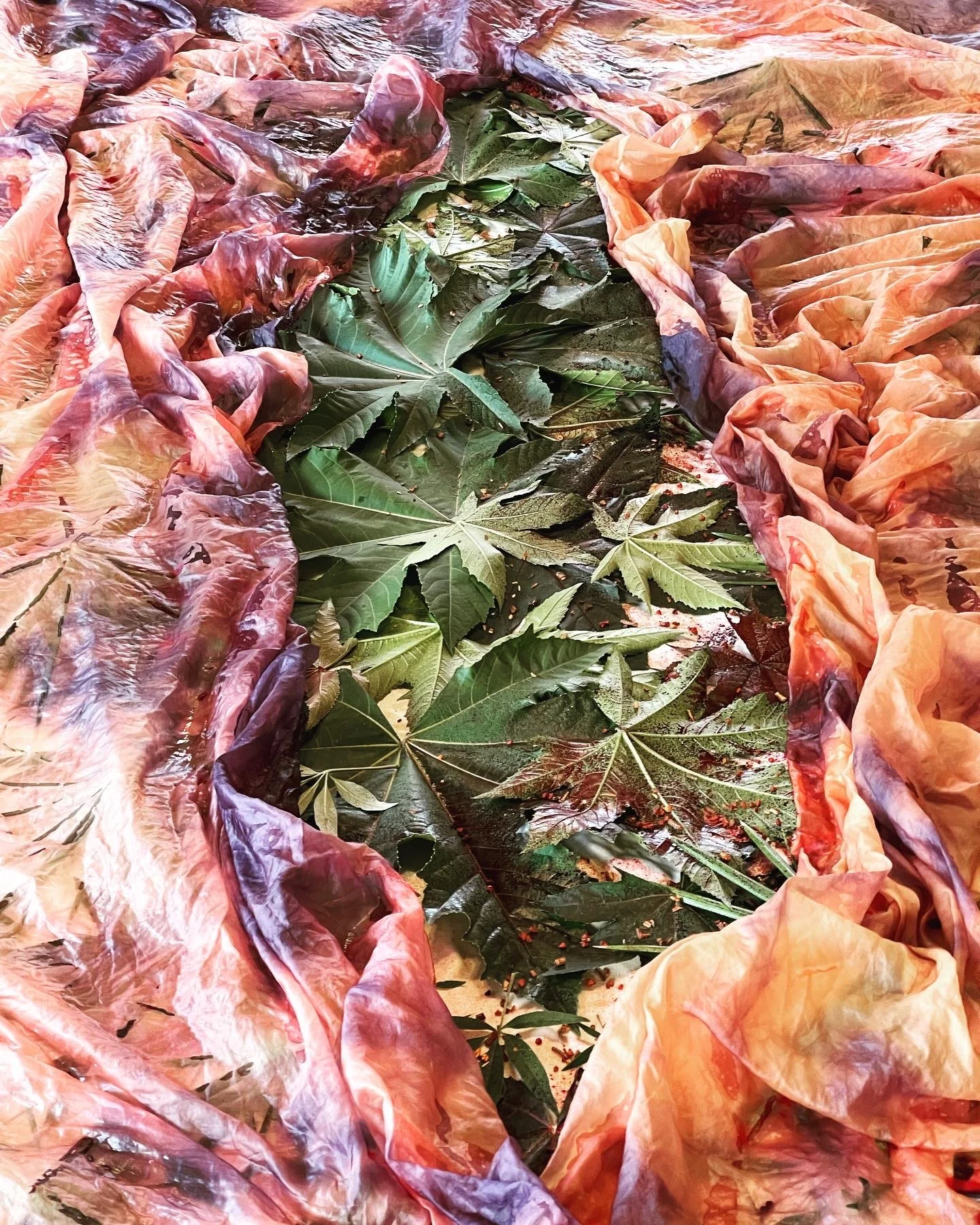 7963BFCD-B606-4C0A-9C64-5744372A0D0A copy.jpg