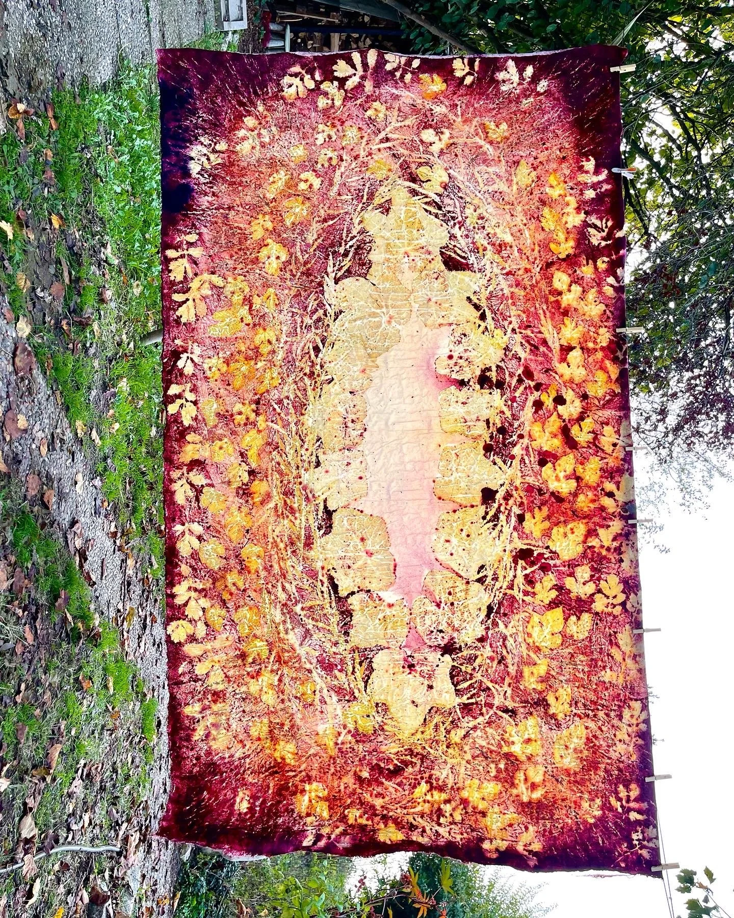 E8C7C003-E7E1-4005-86CA-6C6634AE6376 copy.jpg