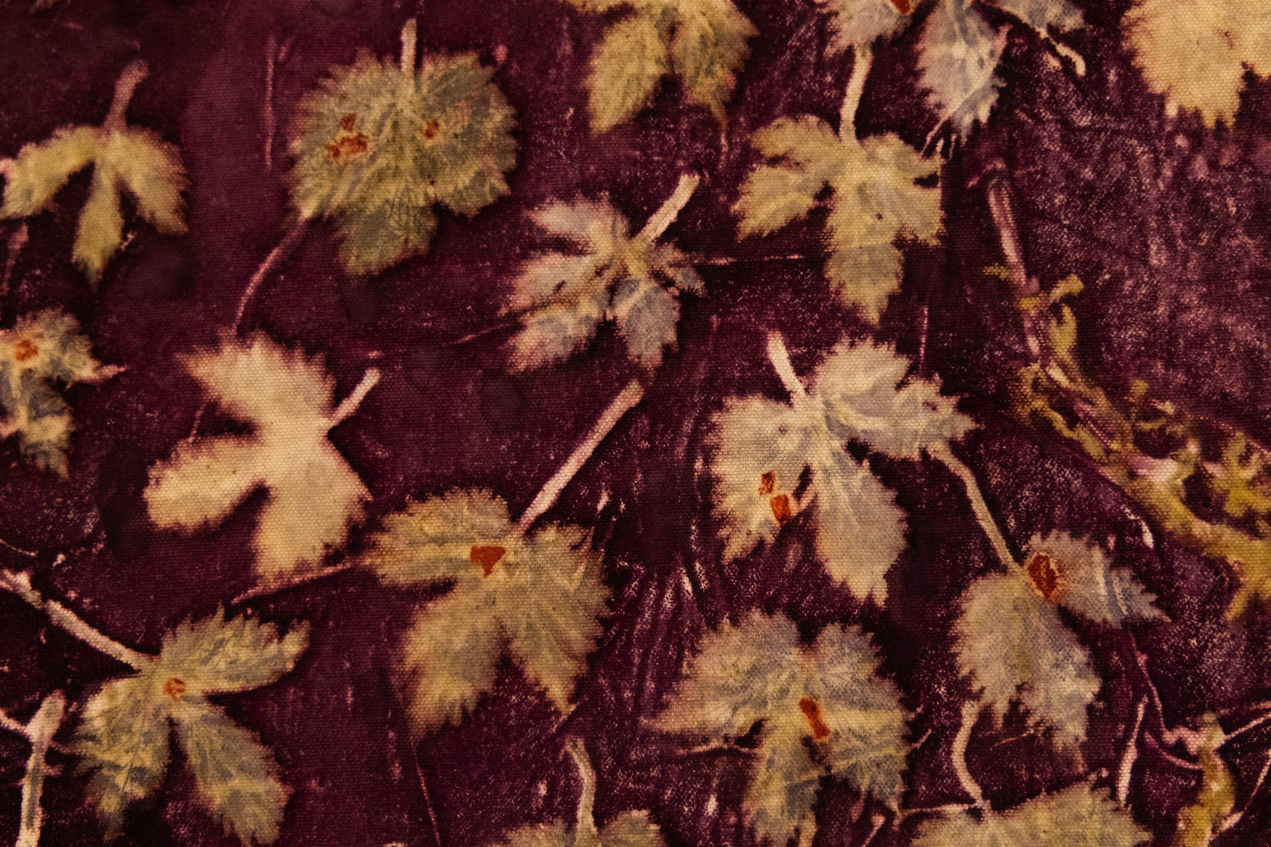 120_FOROF_SORTILEGIO_ph.Monkeys Video Lab.JPG