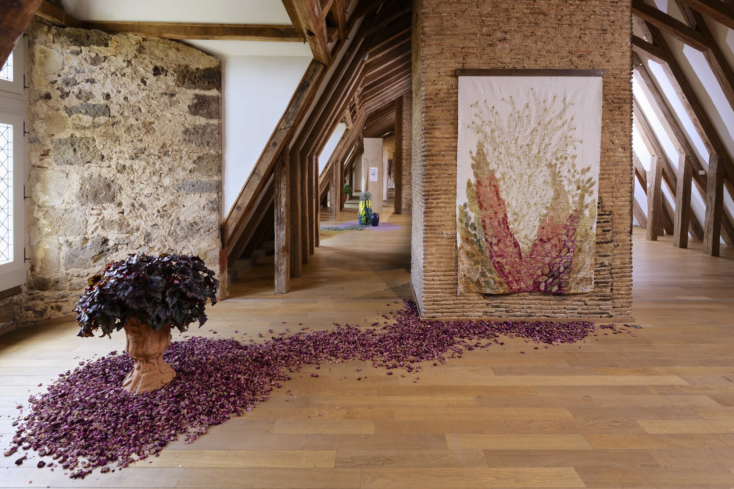 MDACR 2023-Alex Cecchetti-135.jpg