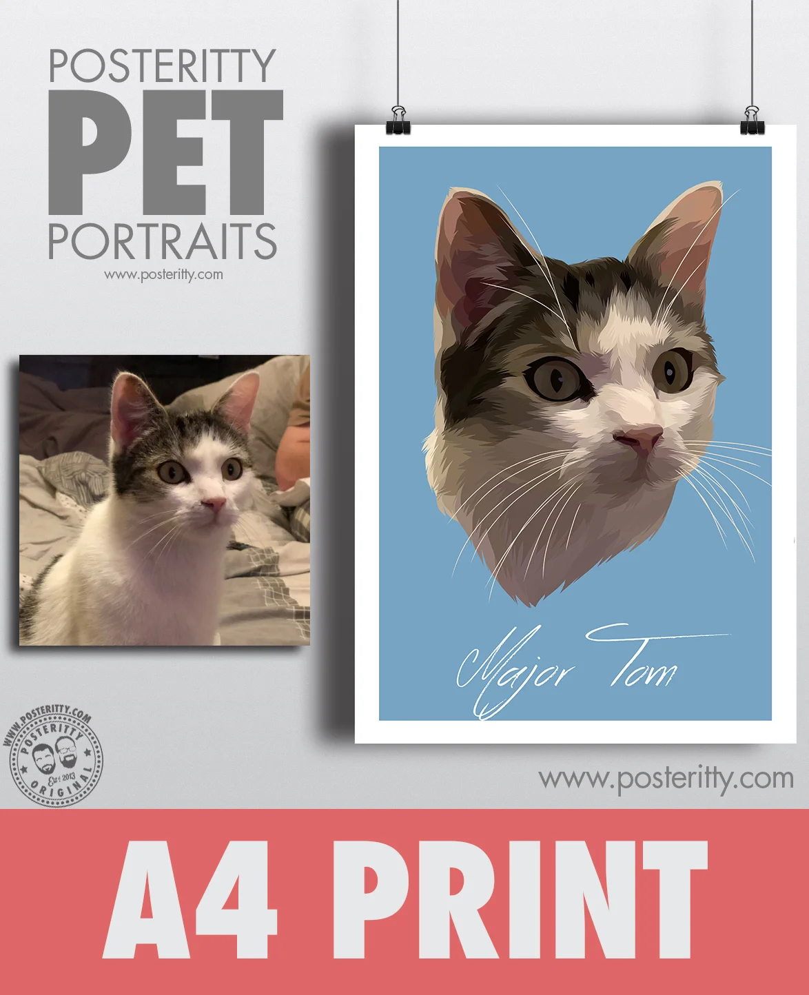 Tom_A4_Print_Main_Picture.jpg