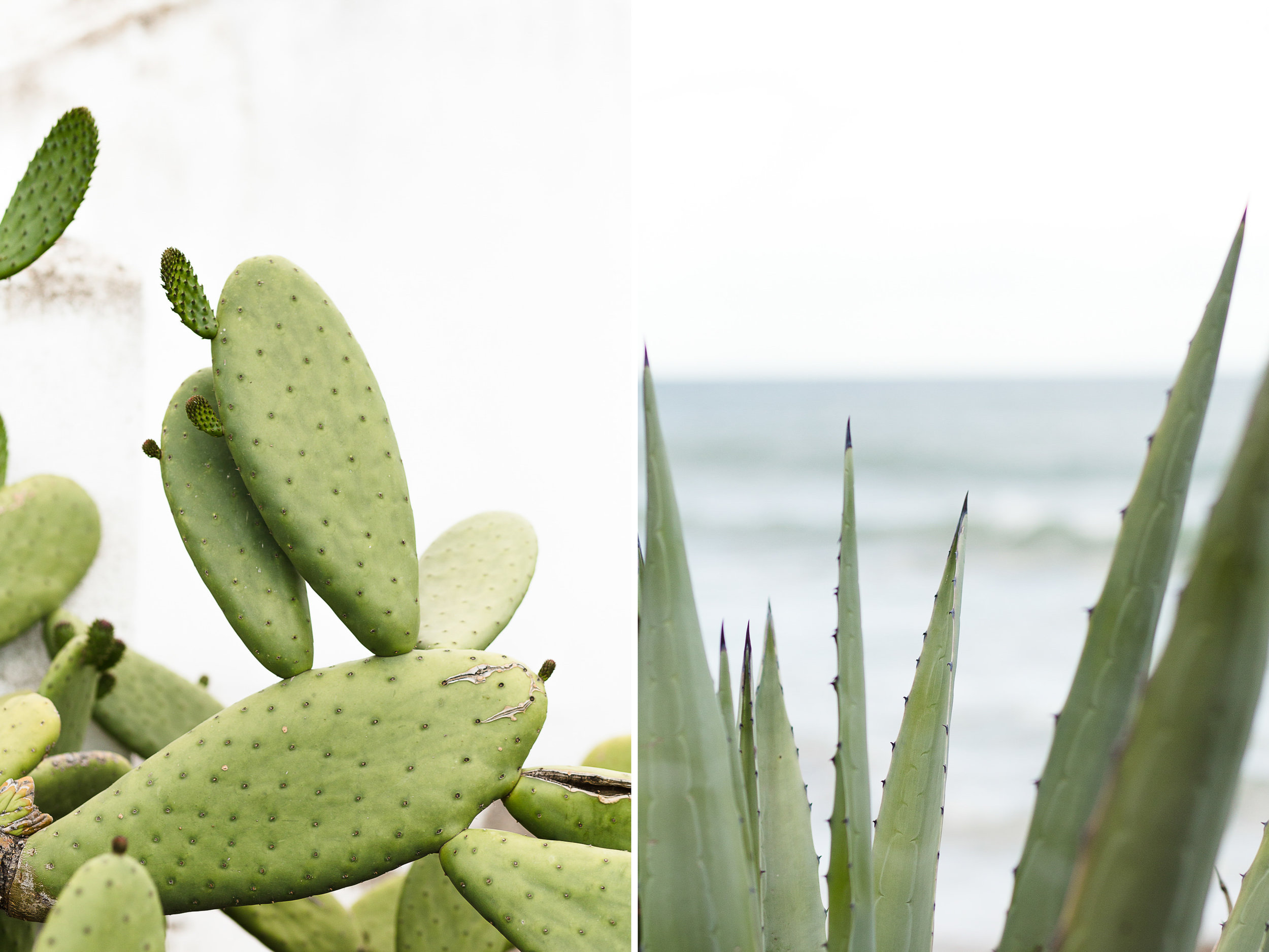 Preboda-casetes-garraf-photografeel-11.jpg