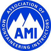 AMI Logo.png