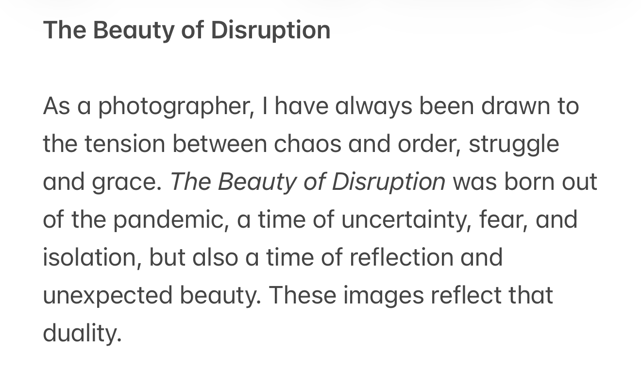 The Beauty of Disruption.png